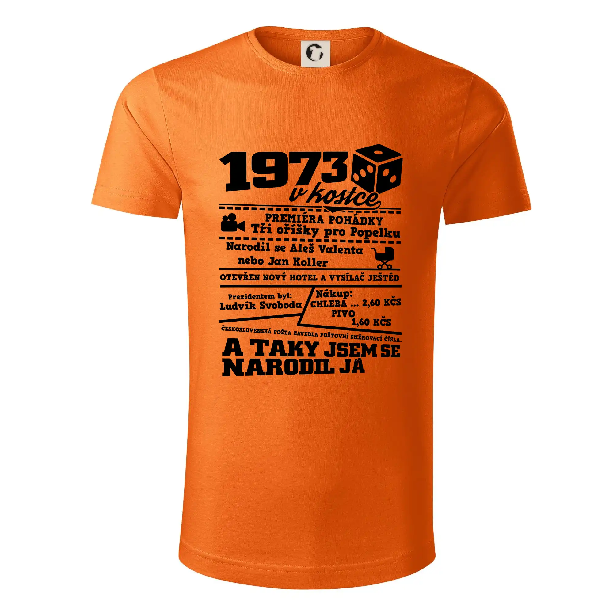 1973 v kostce