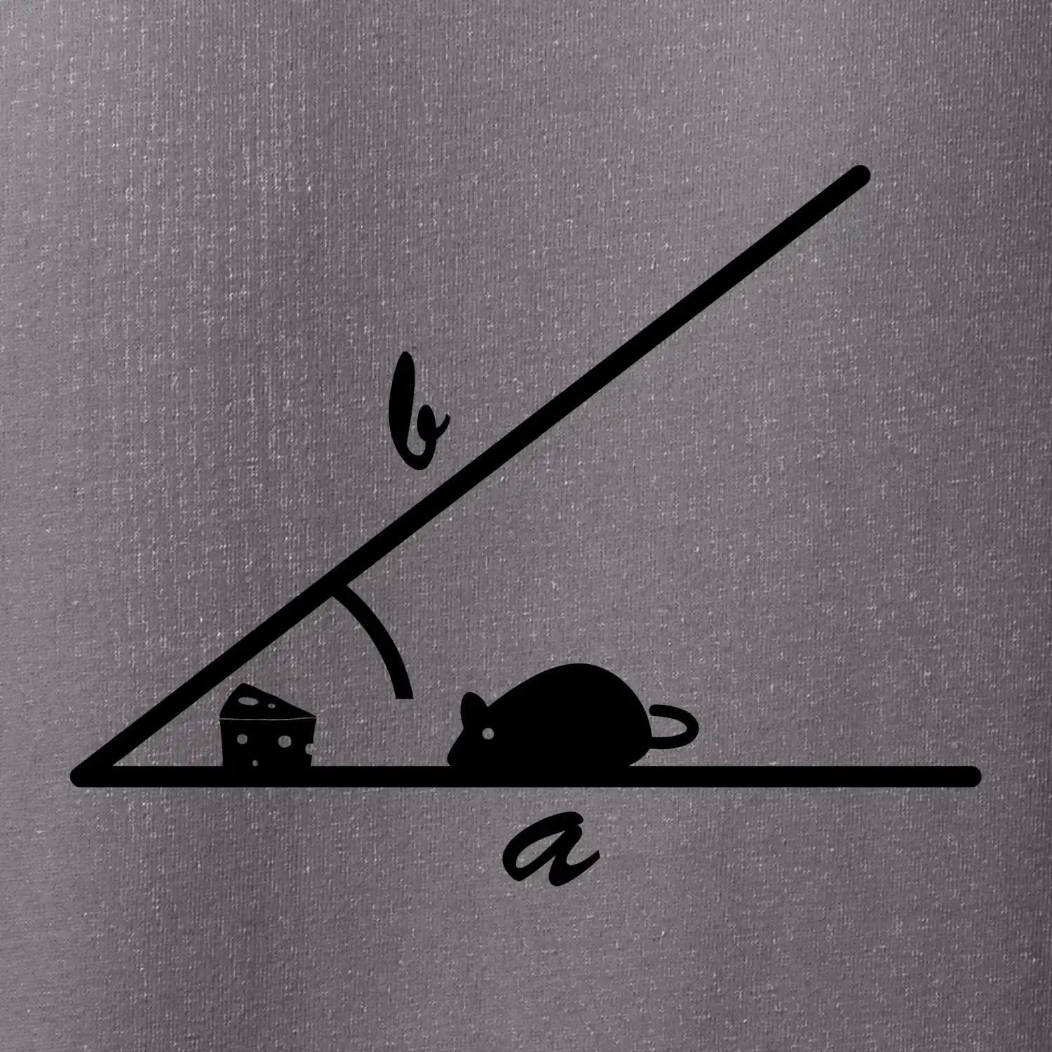 Matematická myš