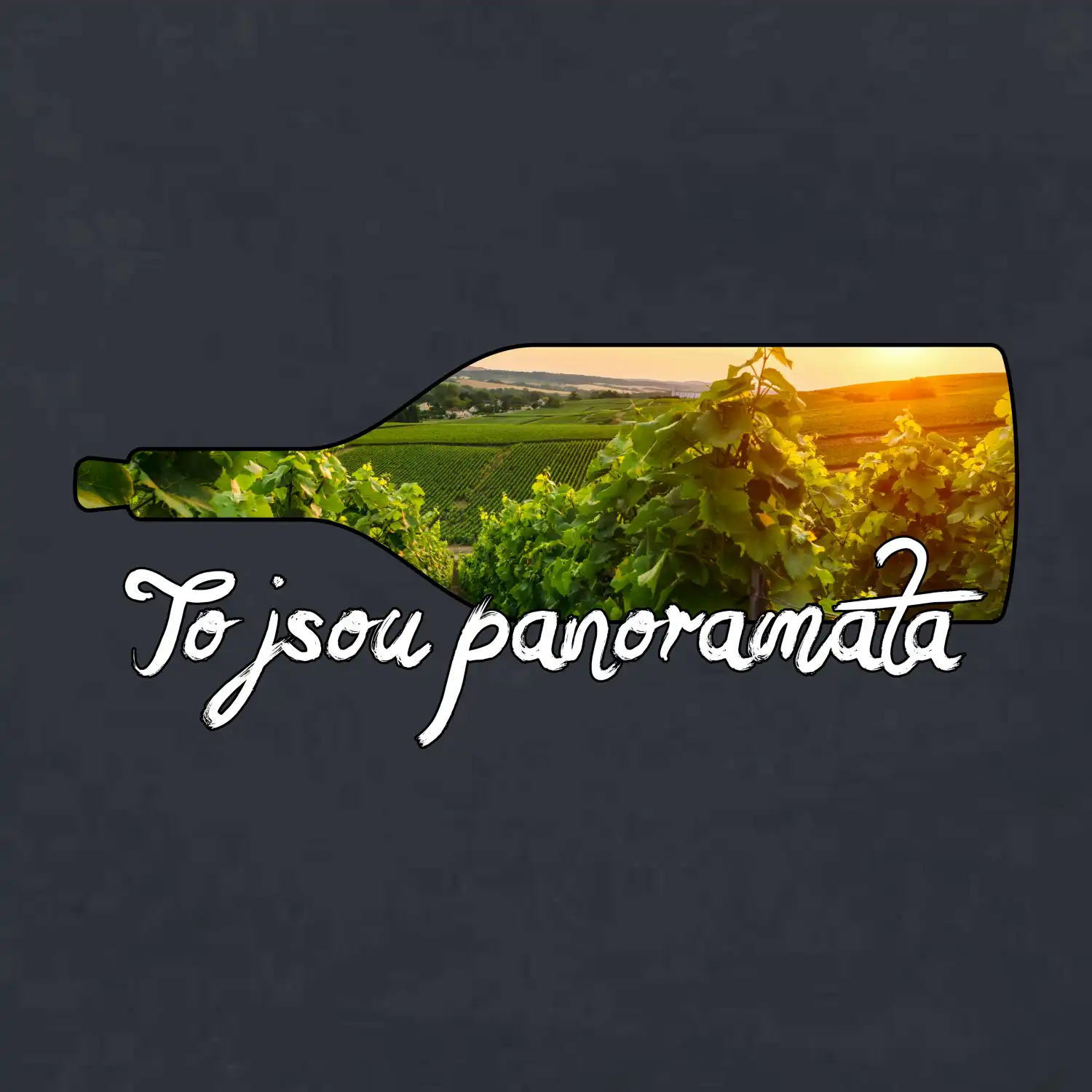 To jsou panoramata vinice