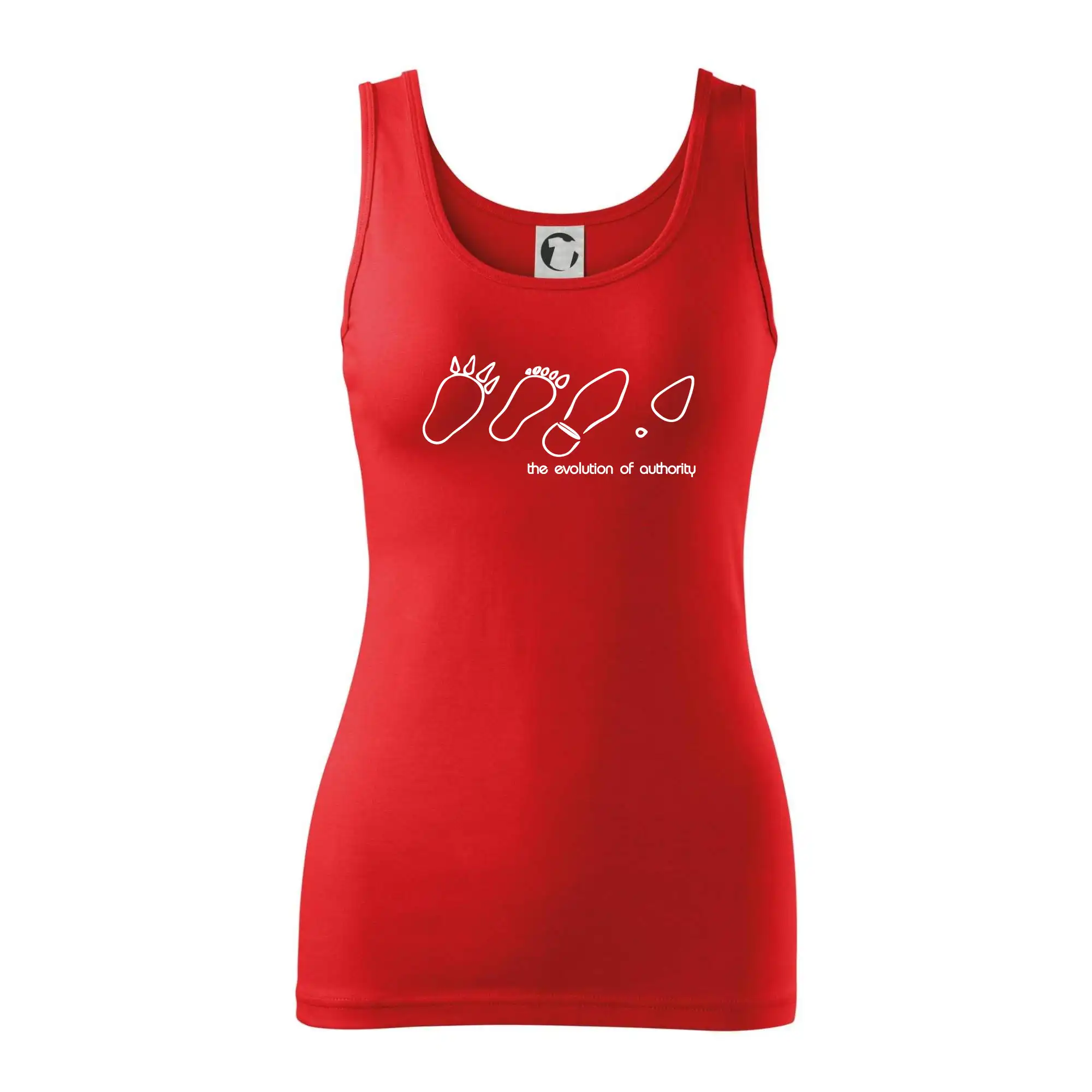 Evolution of authority