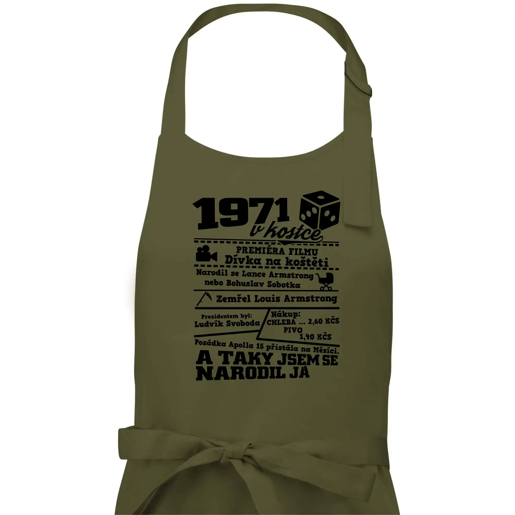 1971 v kostce