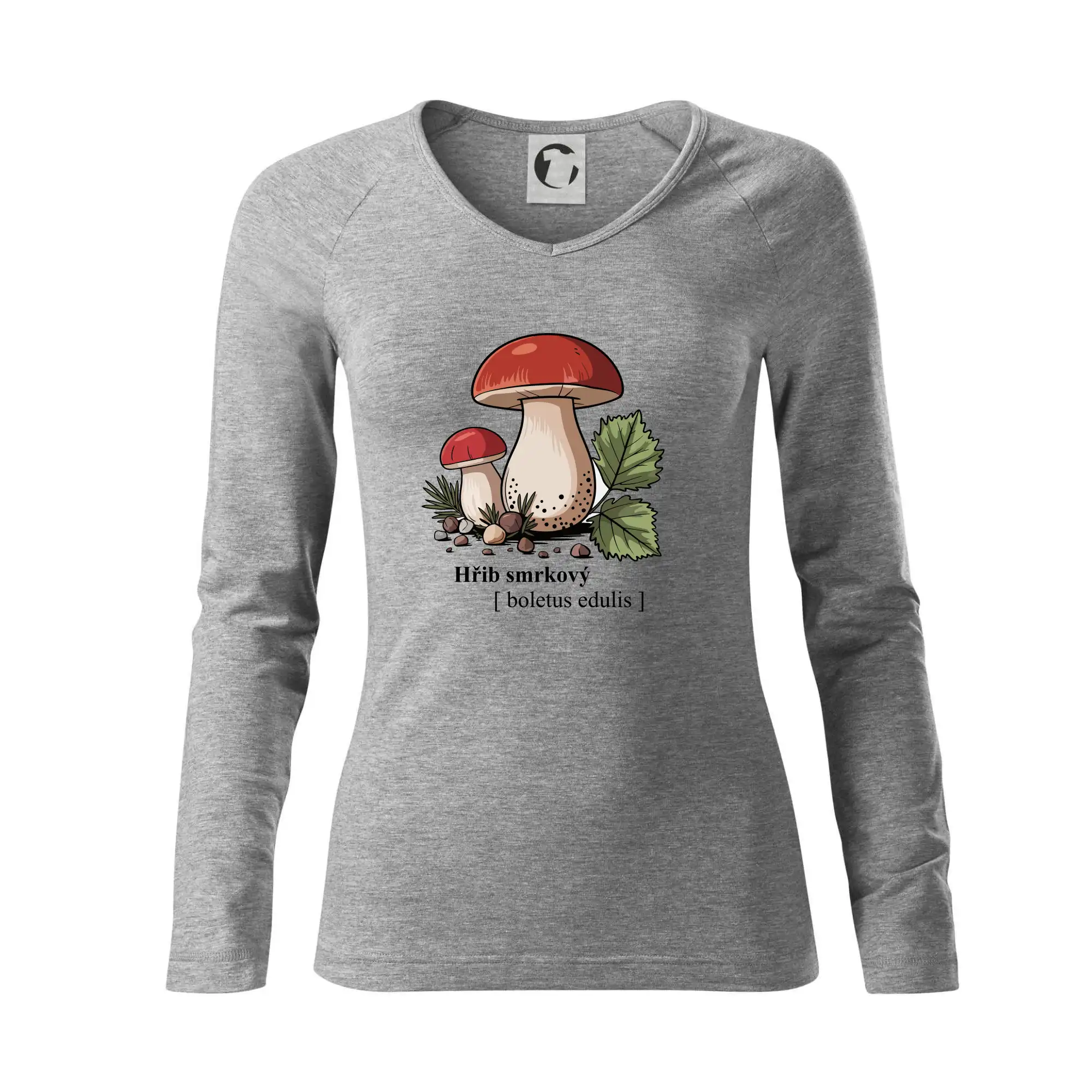 Hřib smrkový - Boletus edulis kreslený