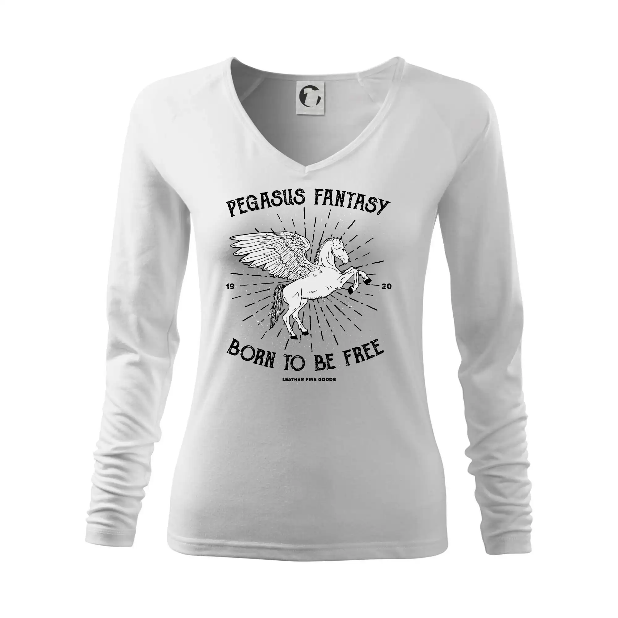 Pegasus fantasy
