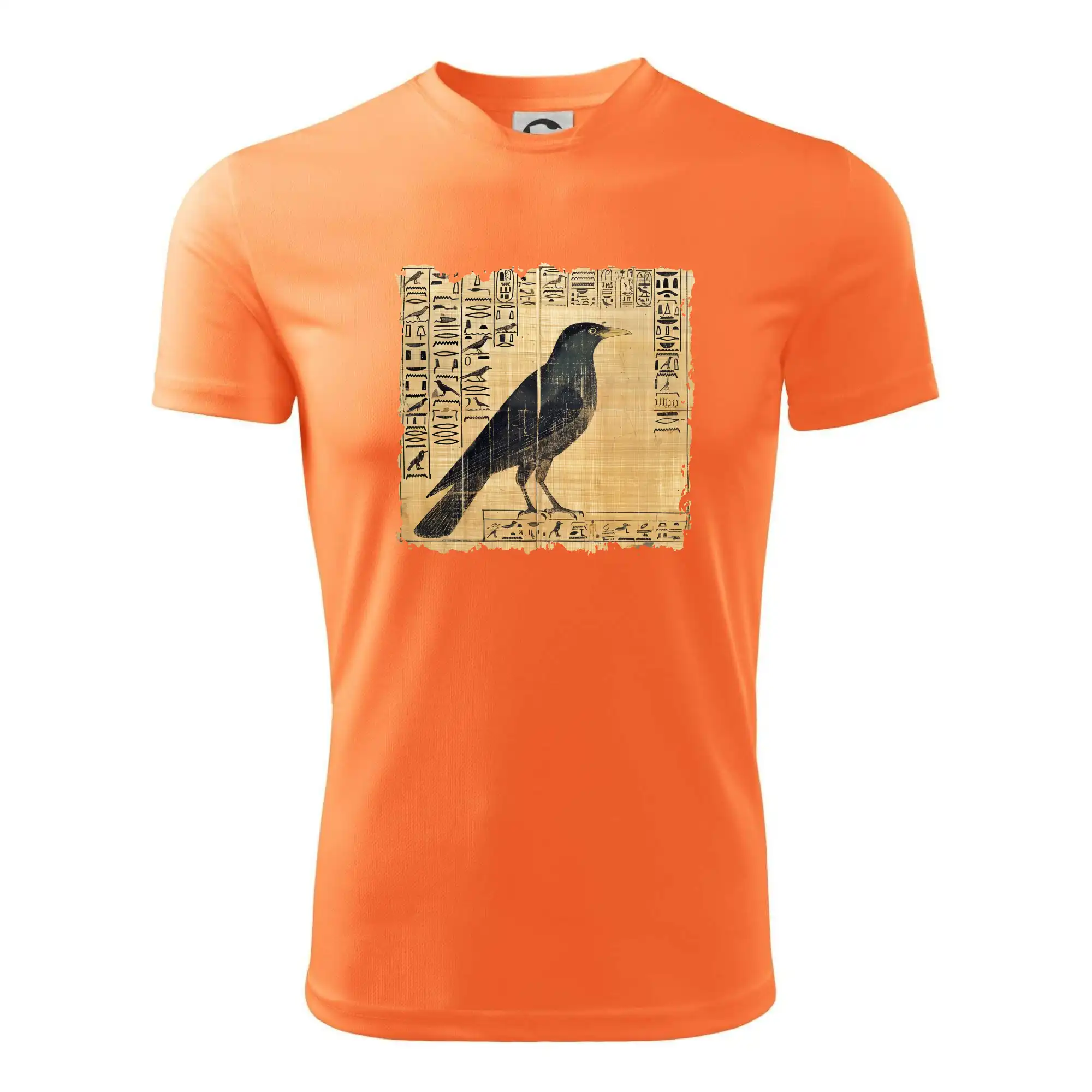 Egyptské hieroglyfy pták