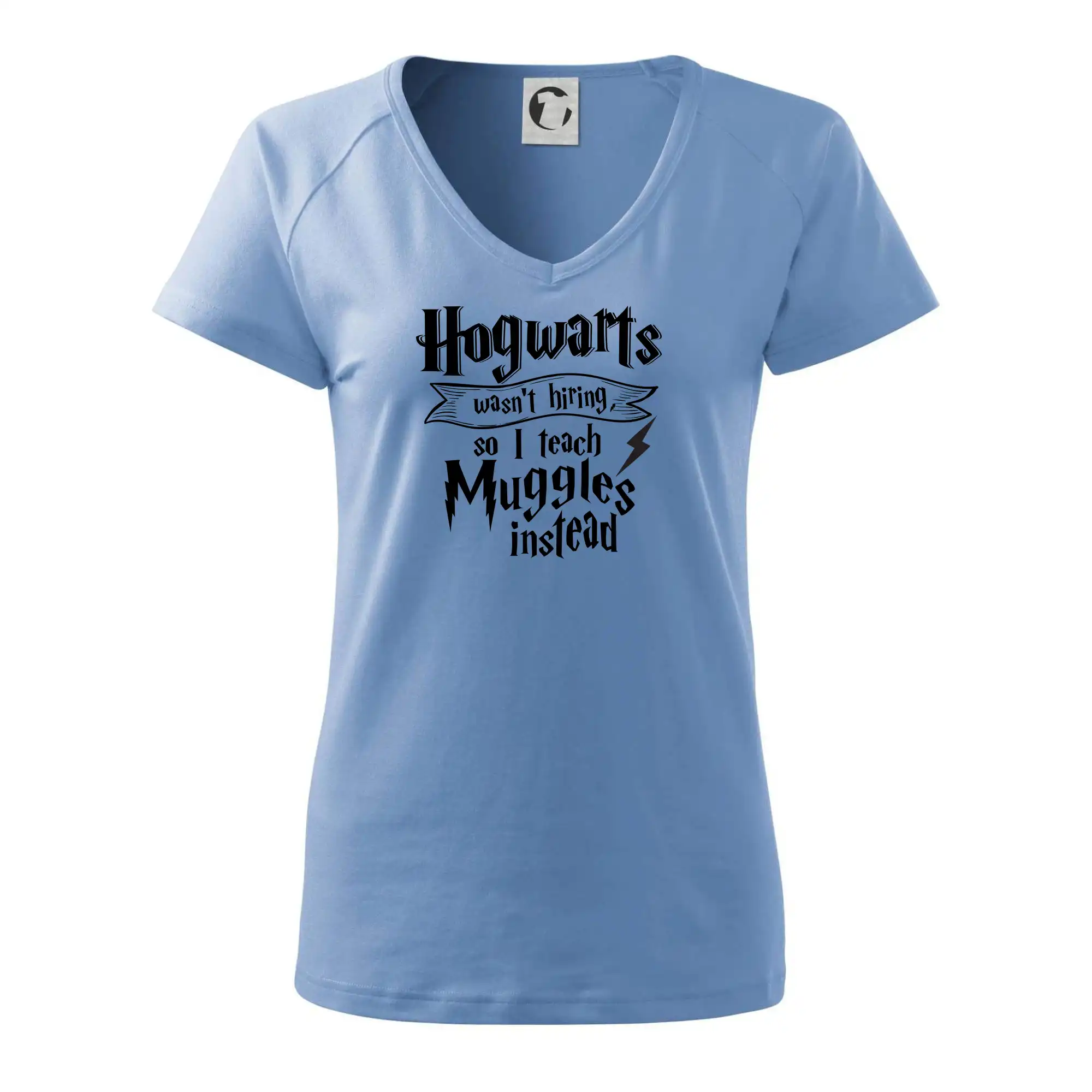 Harry - Hogwarts wasn’t hiring, so I teach Muggles instead