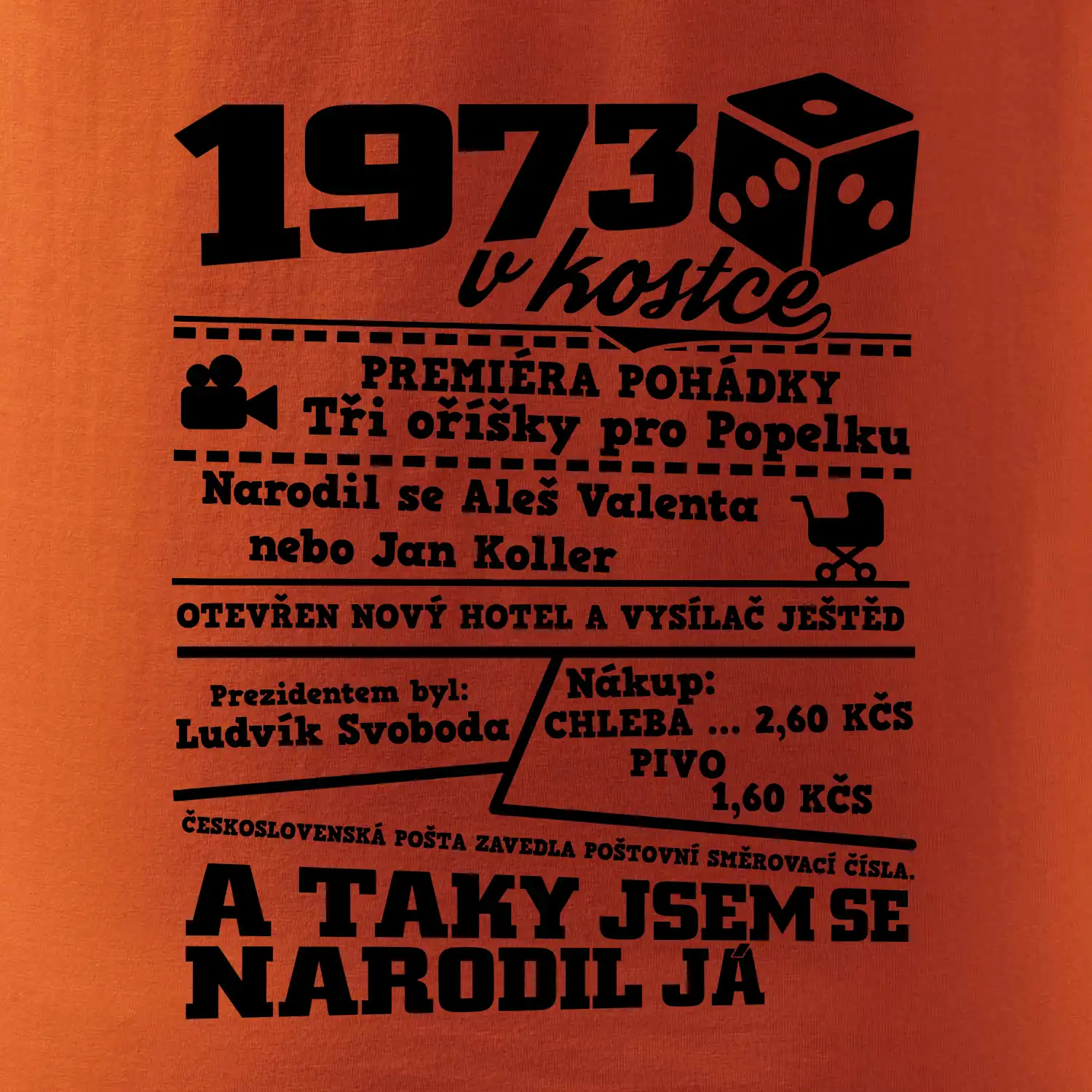 1973 v kostce
