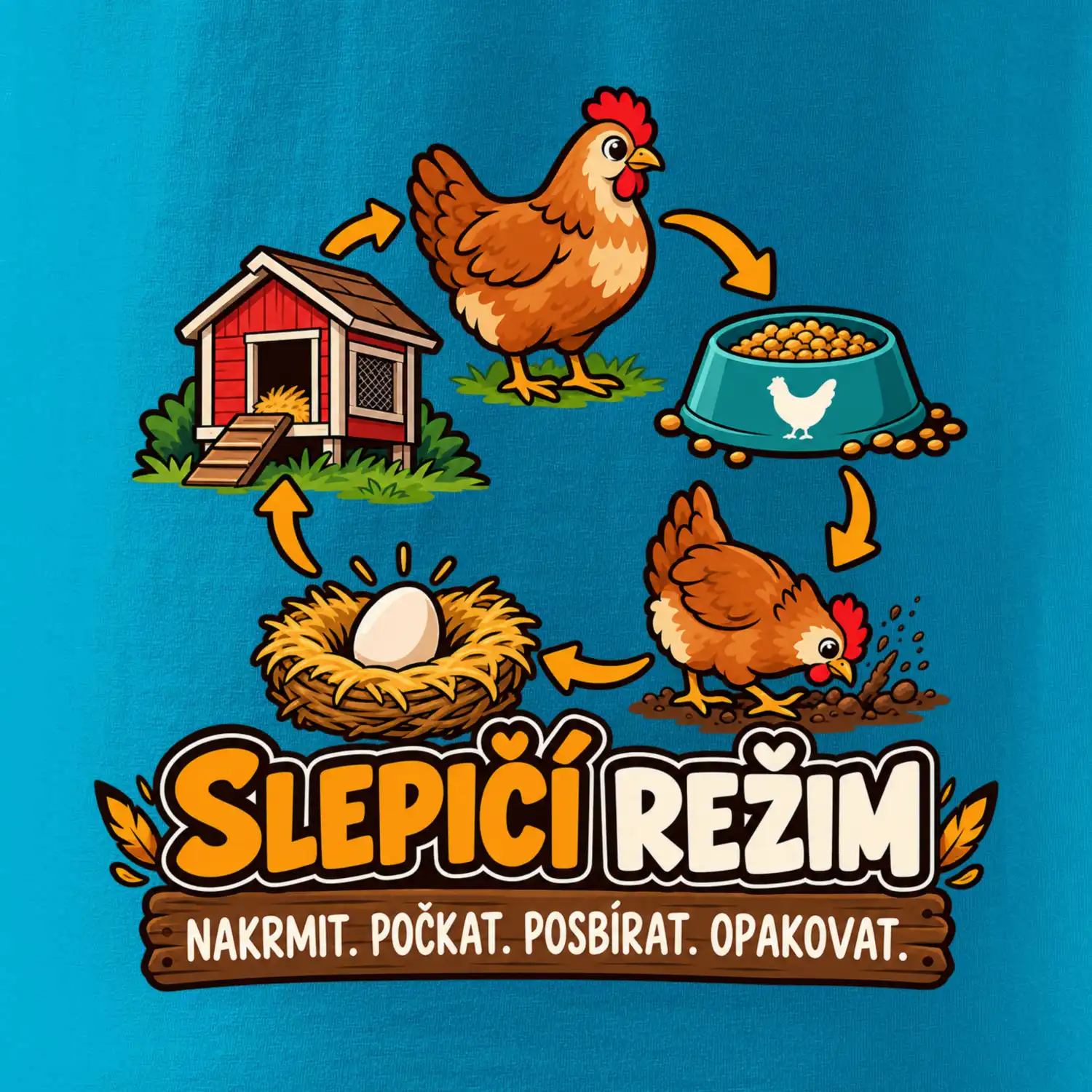 Slepičí režim od krmení po sběr vajec