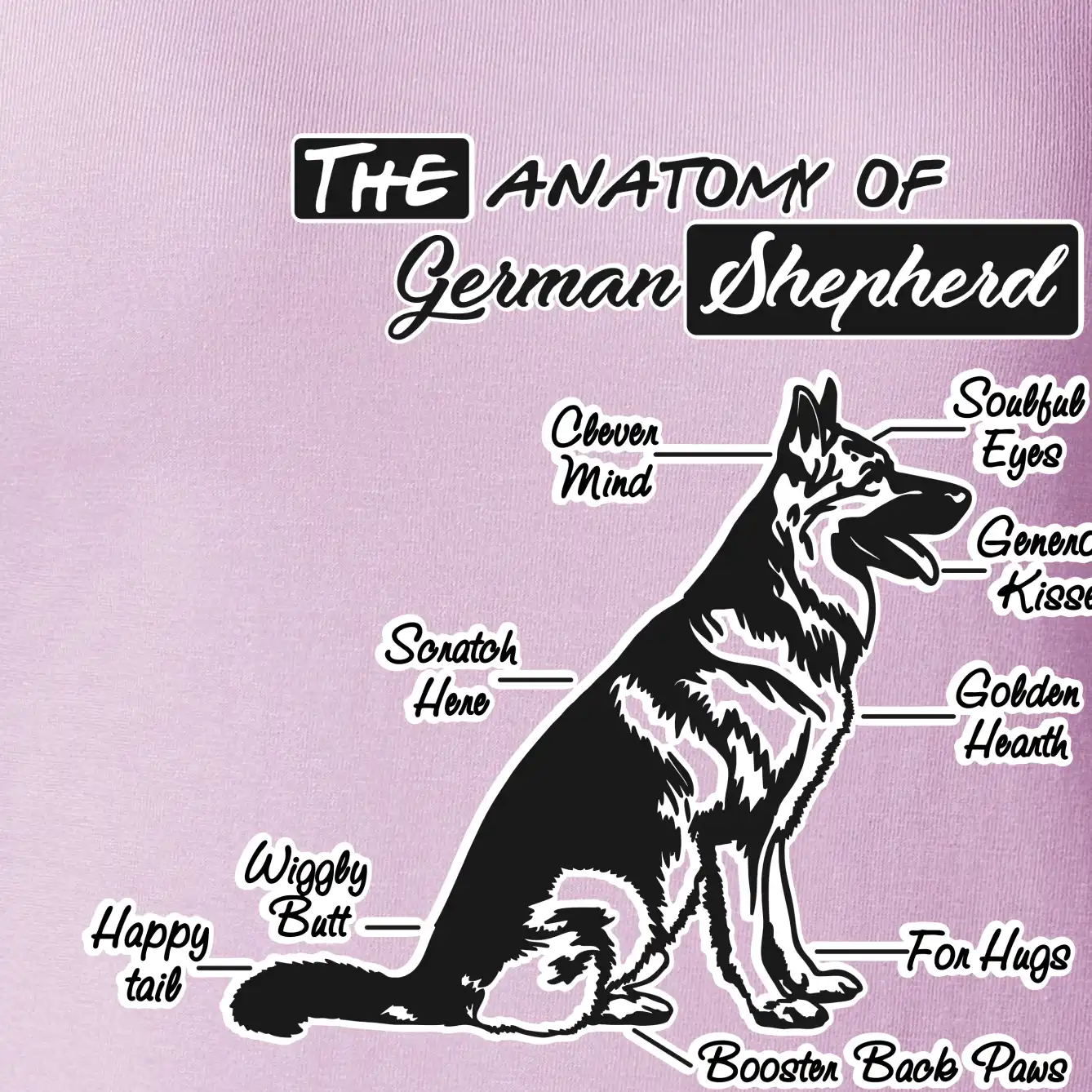 Německý ovčák - Anatomie