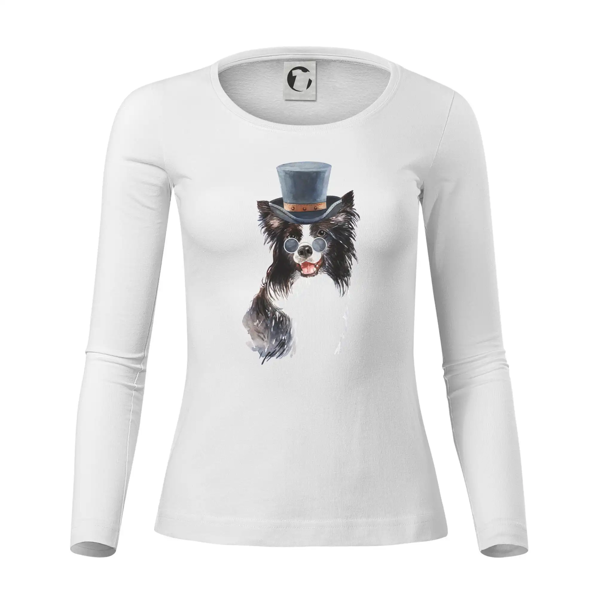 Border kolie v klobouku