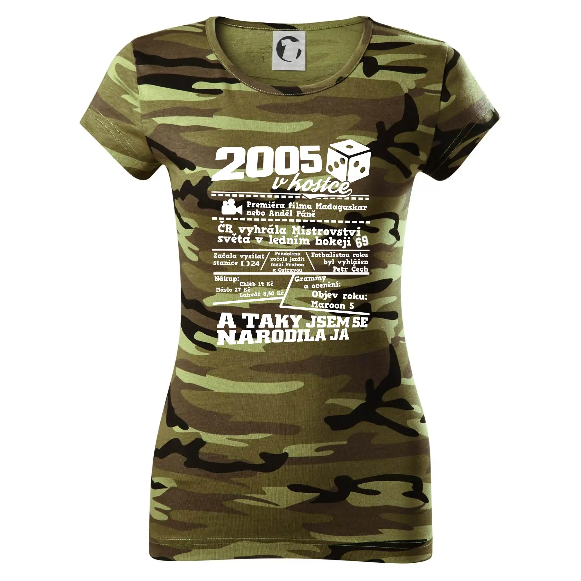 2005 v kostce