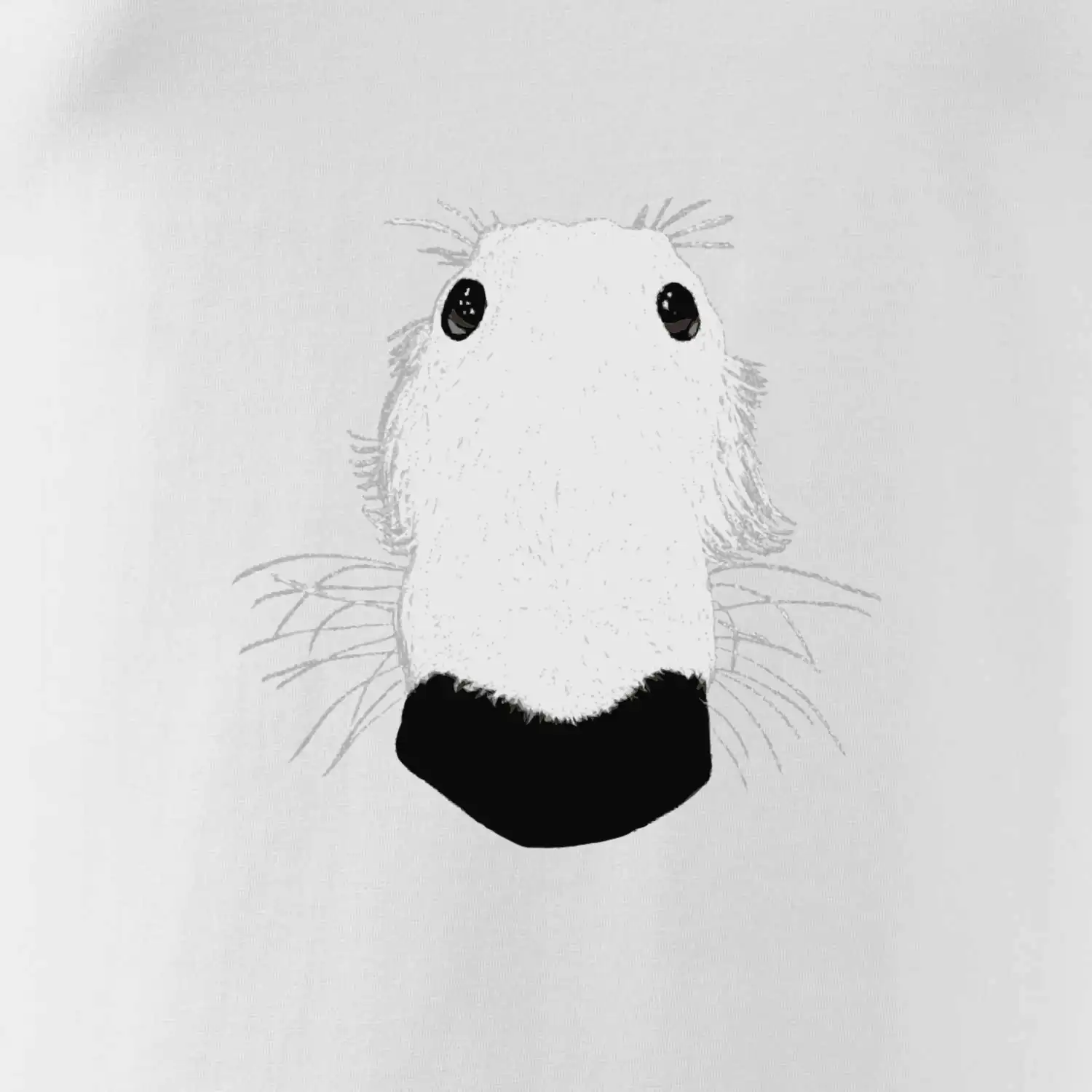 Barzoj čumák (Moňas)