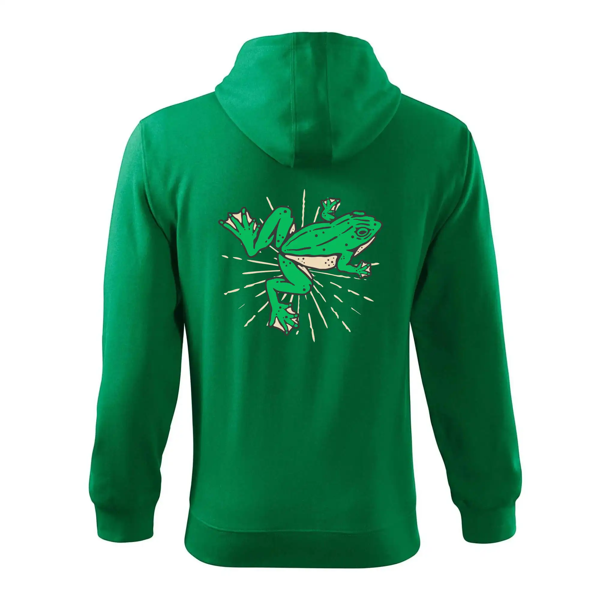 Žába zelená kreslená