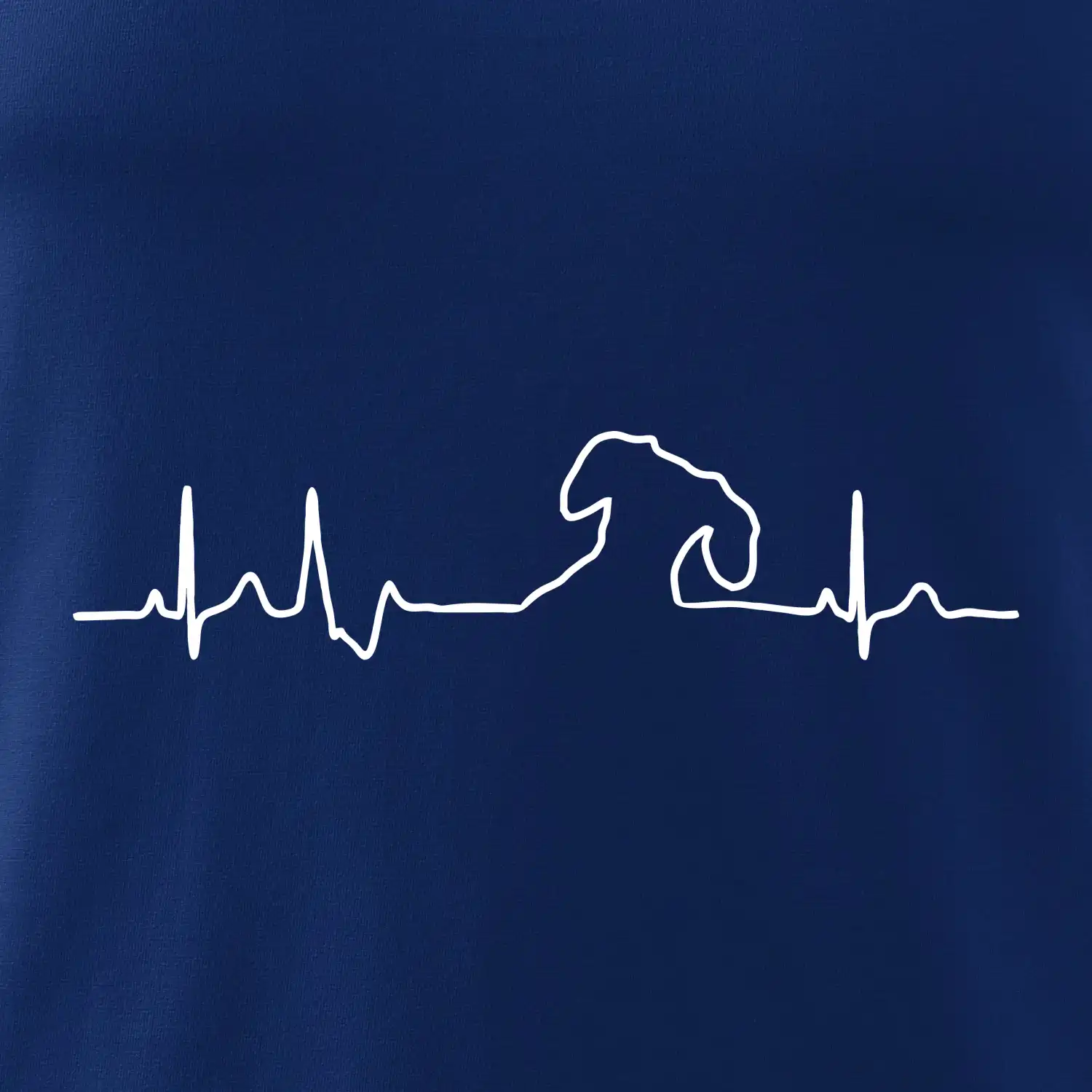 Jezevčík EKG