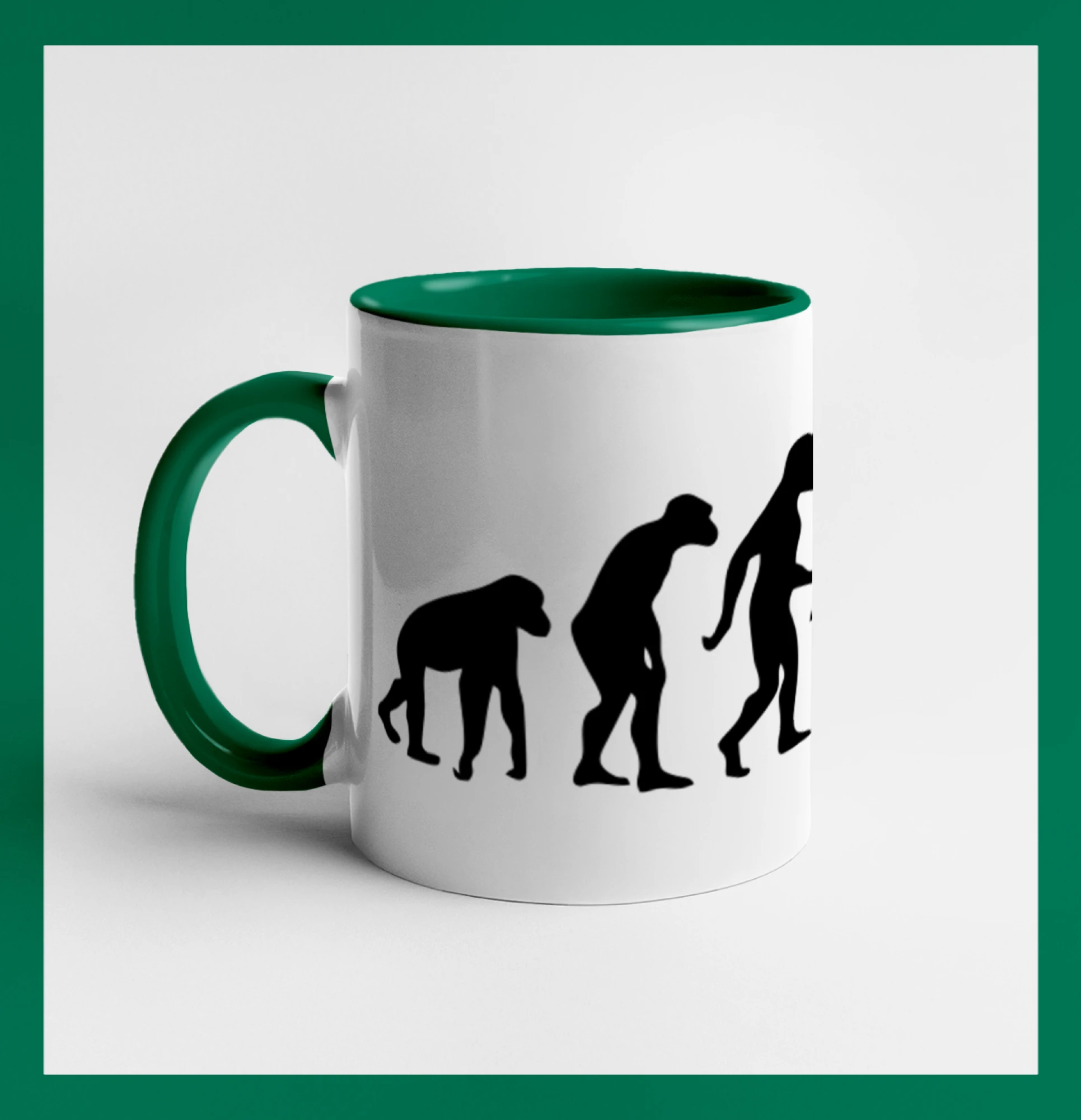 Evolution fitness
