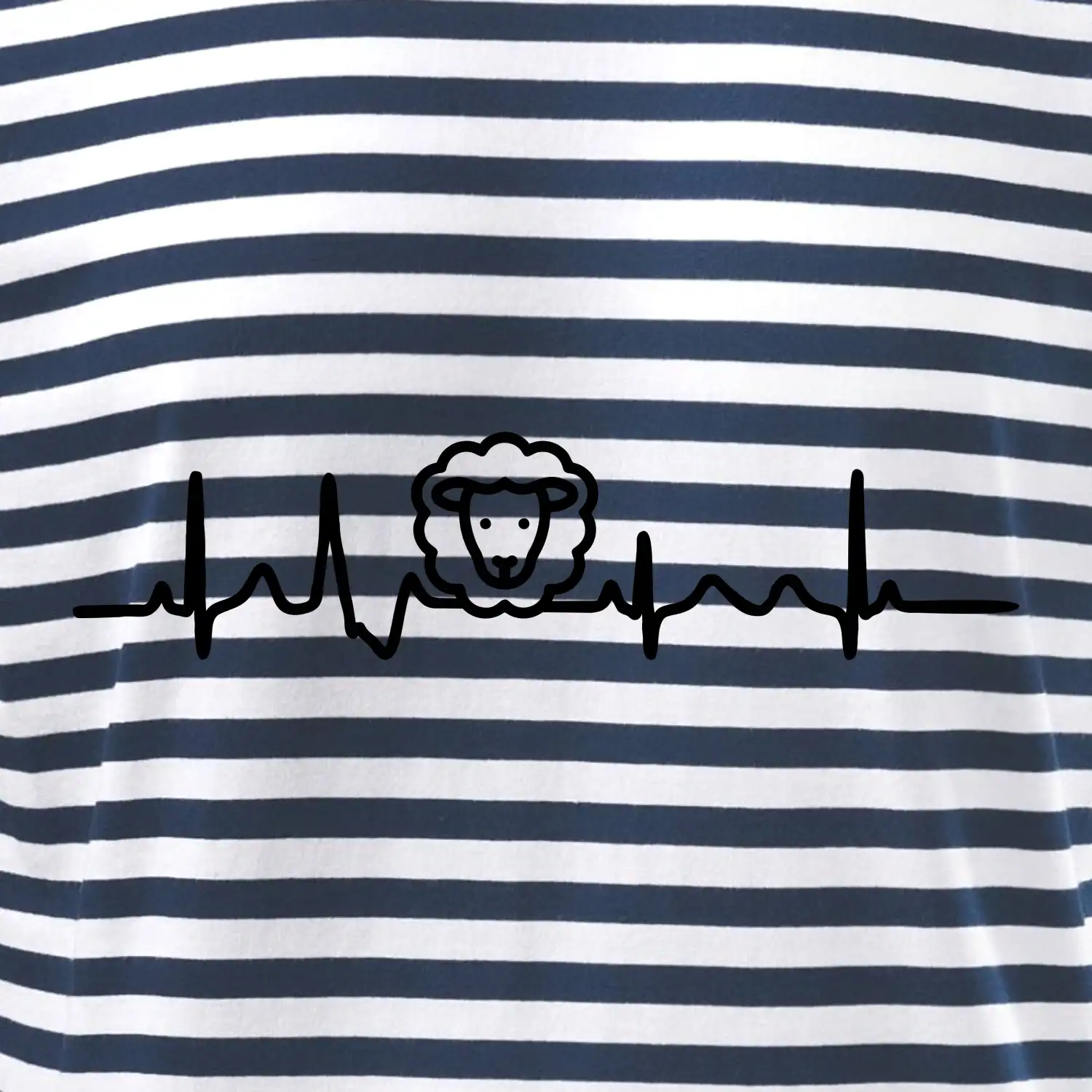 Ekg ovce