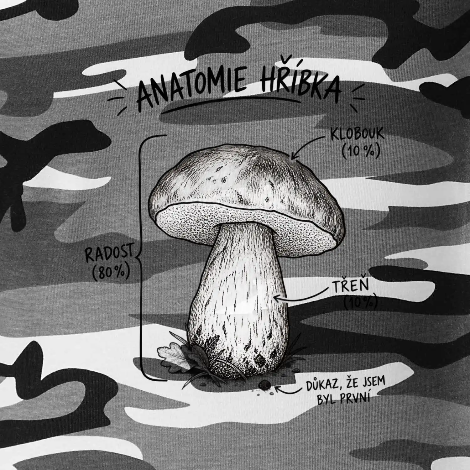 Anatomie hříbka