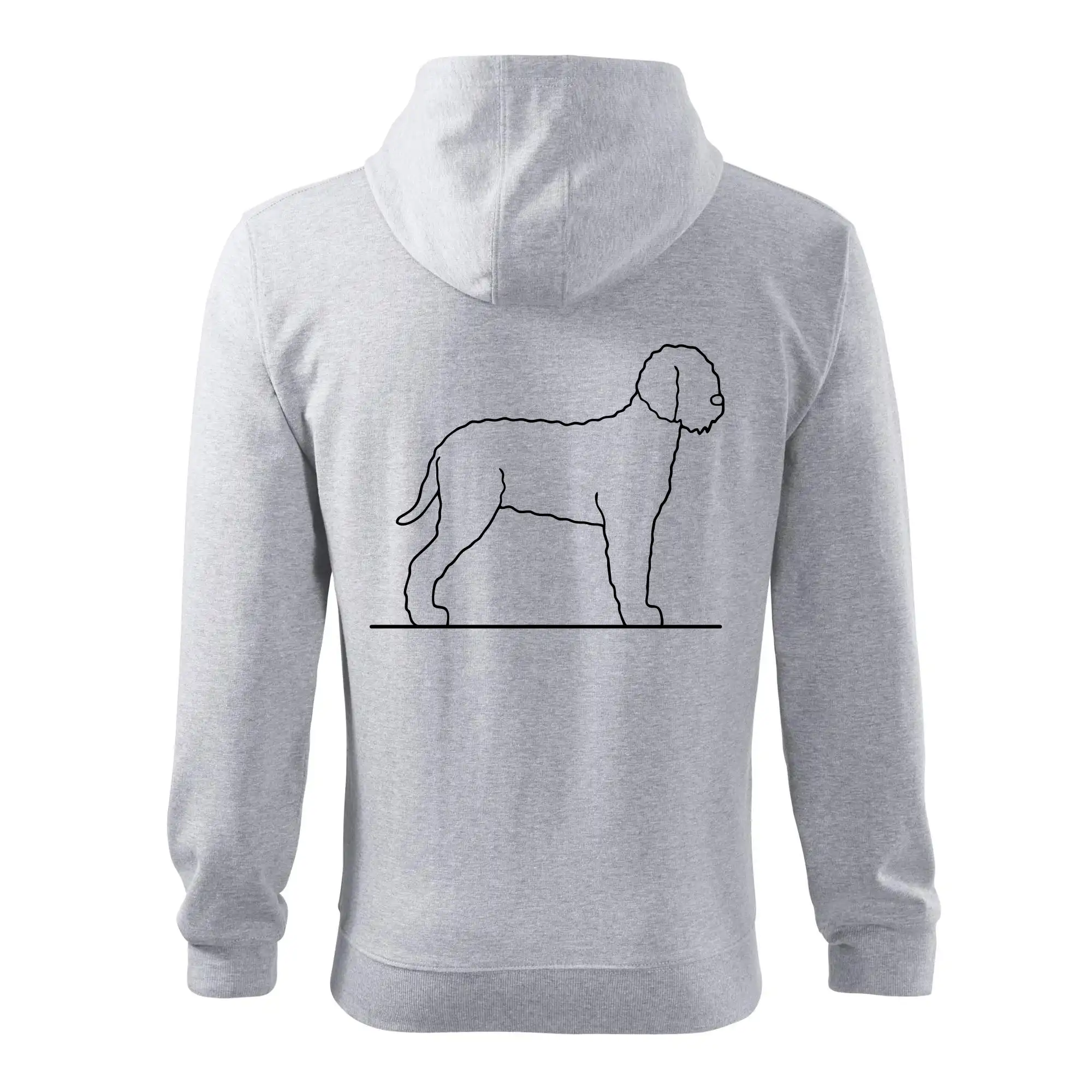 Lagotto romagnolo stojící