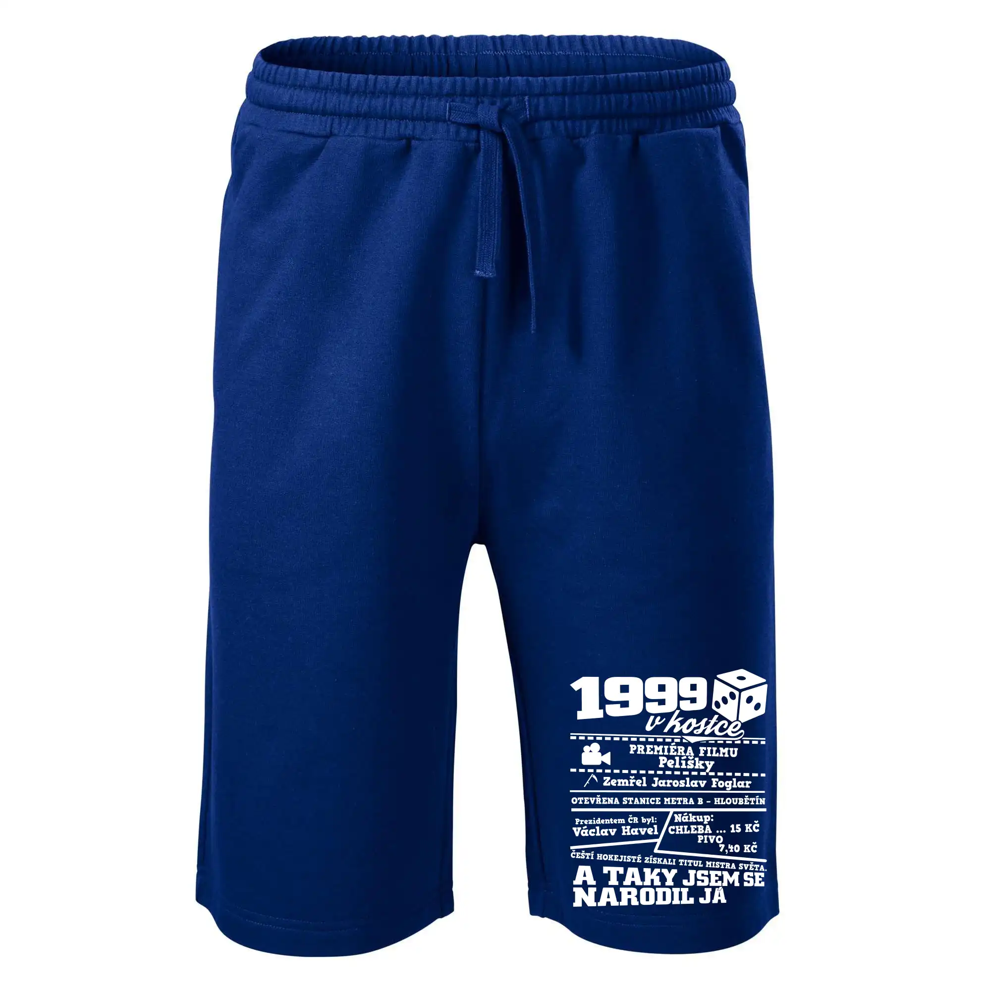 1999 v kostce