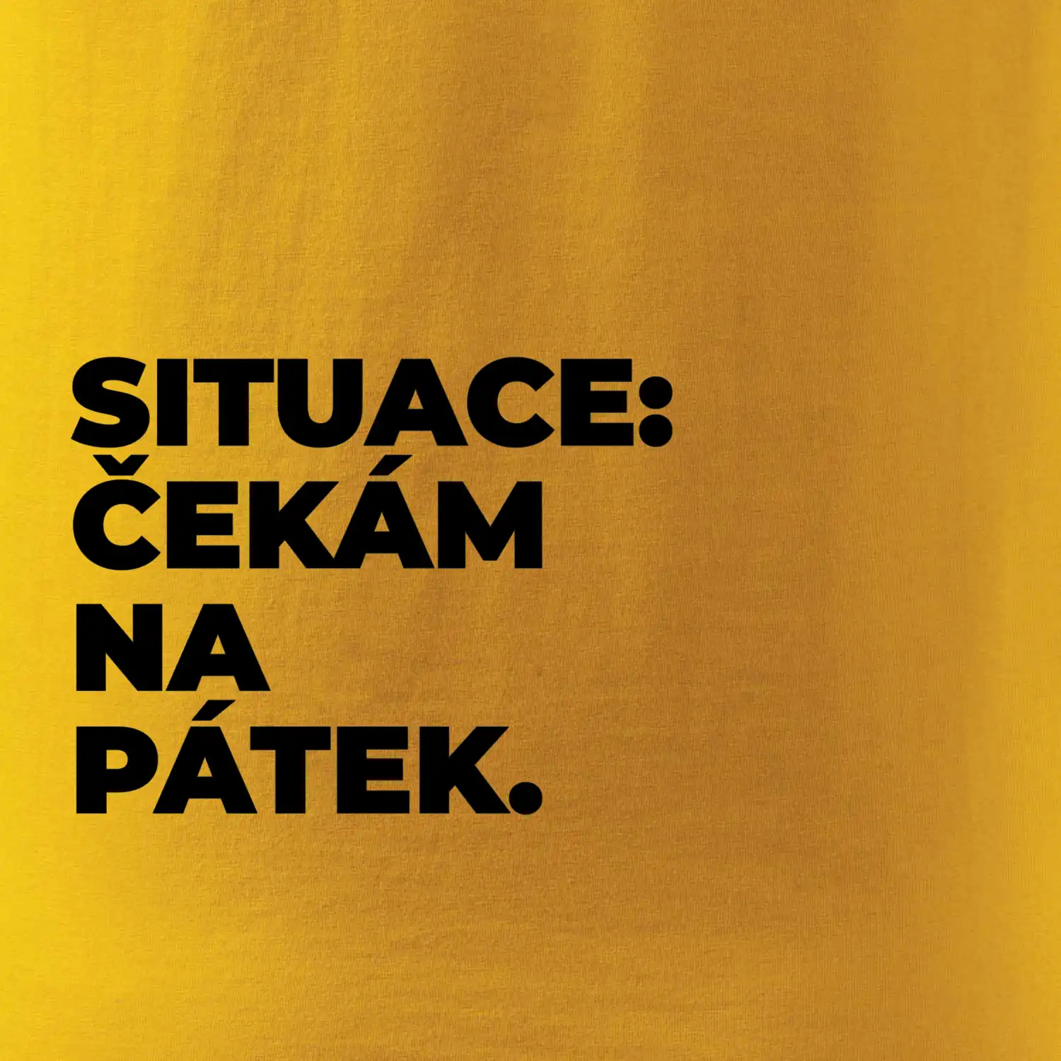 SITUACE:  ČEKÁM NA PÁTEK.