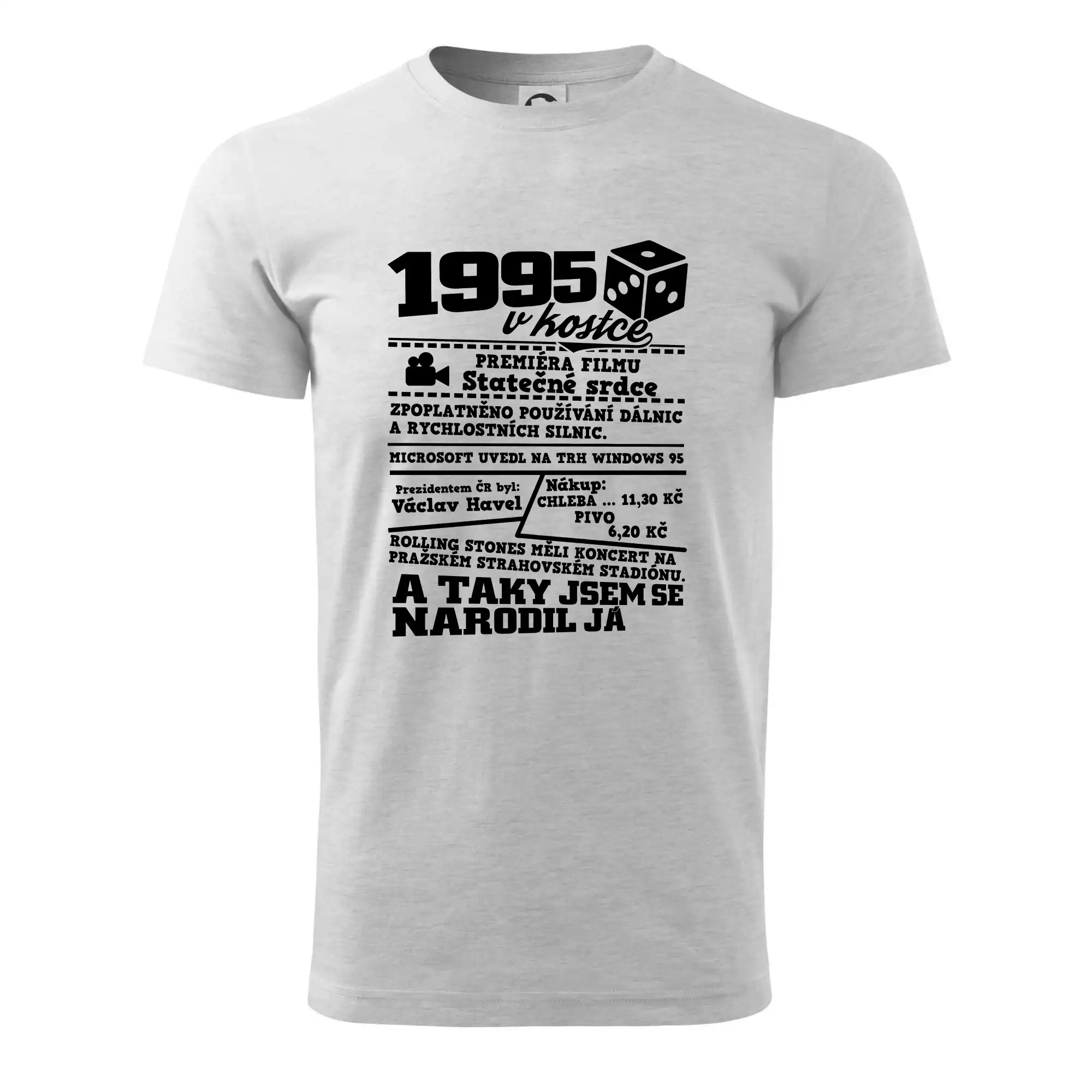 1995 v kostce