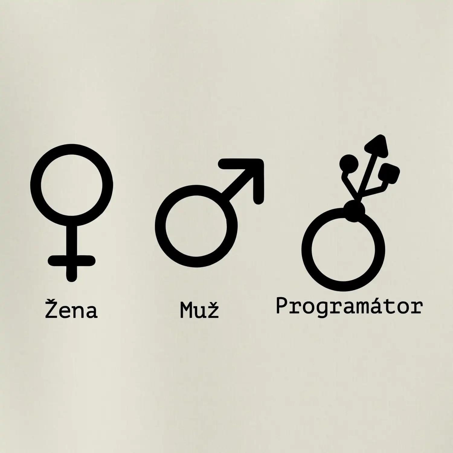 Muž žena programátor