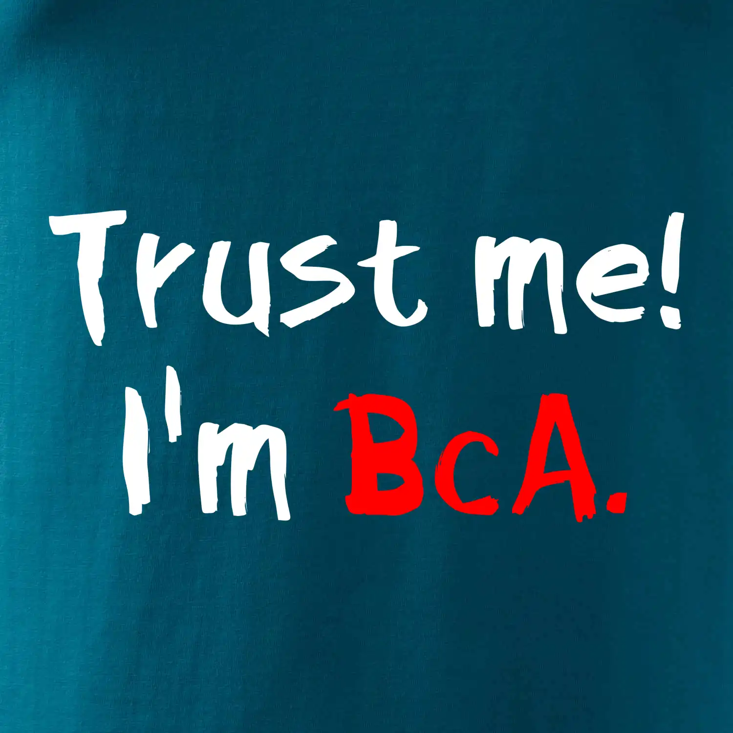 Trust me I´m  BcA. / Věř mi jsem BcA.
