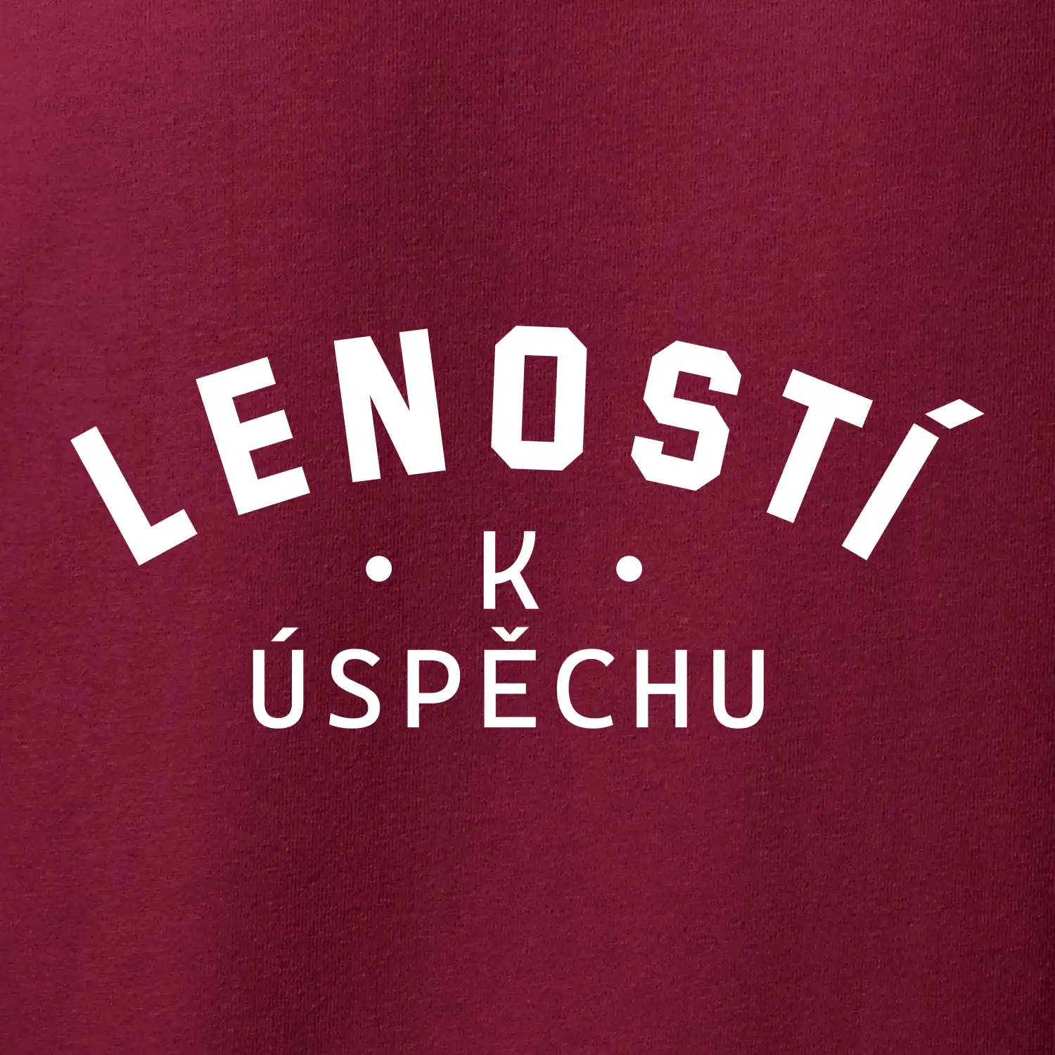 Leností k úspěchu - tiskací