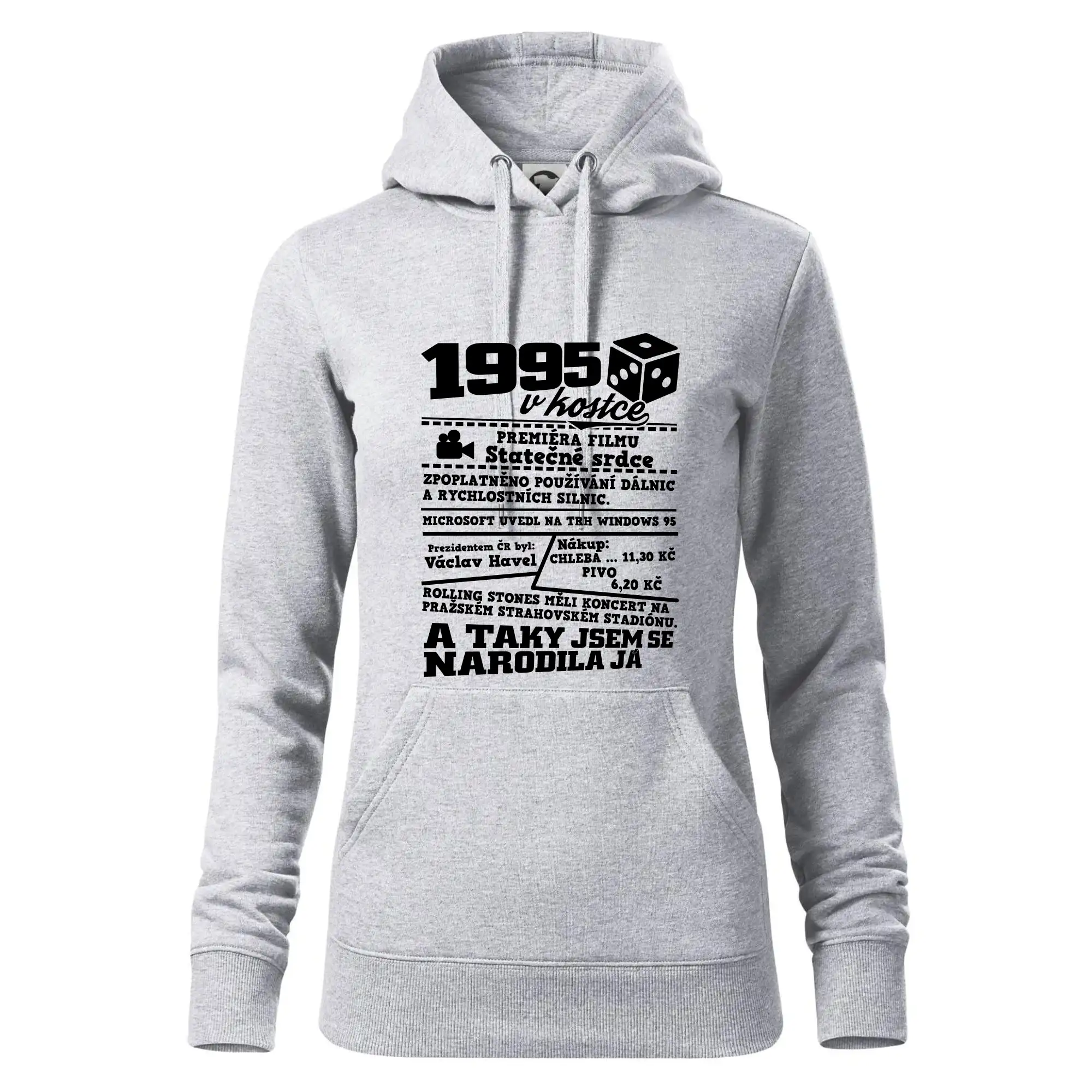 1995 v kostce