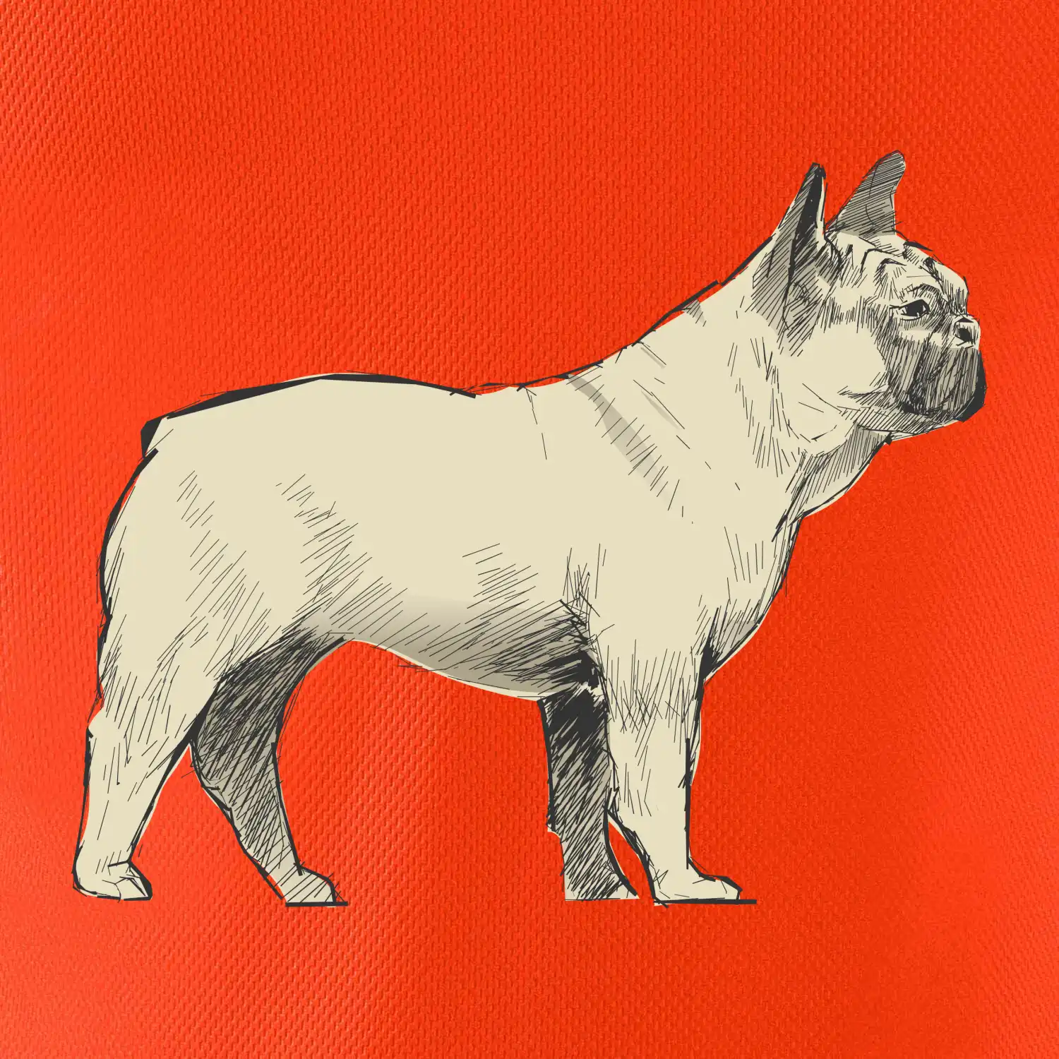 Vintage French bulldog