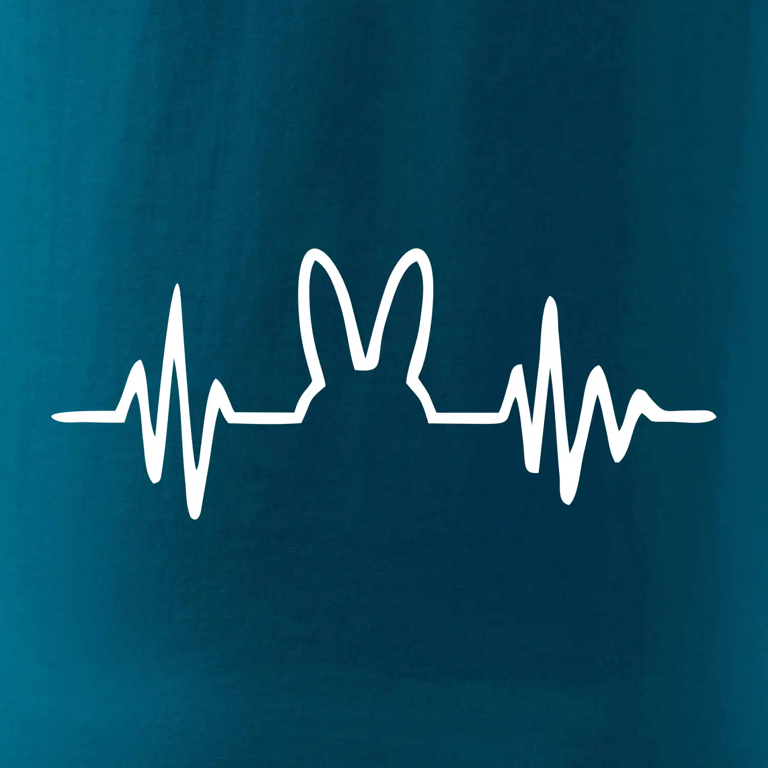 EKG zajíc
