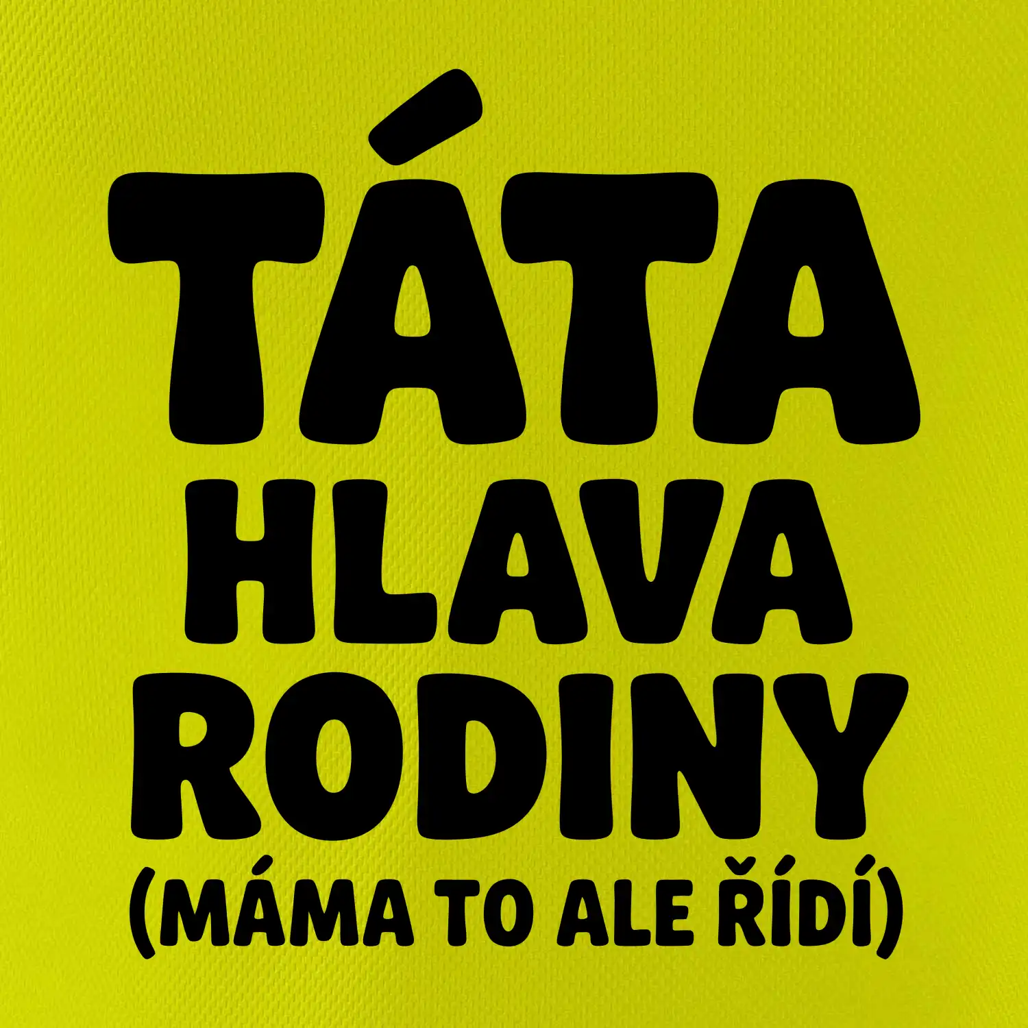 Táta - hlava rodiny  (máma to,  ale řídí)