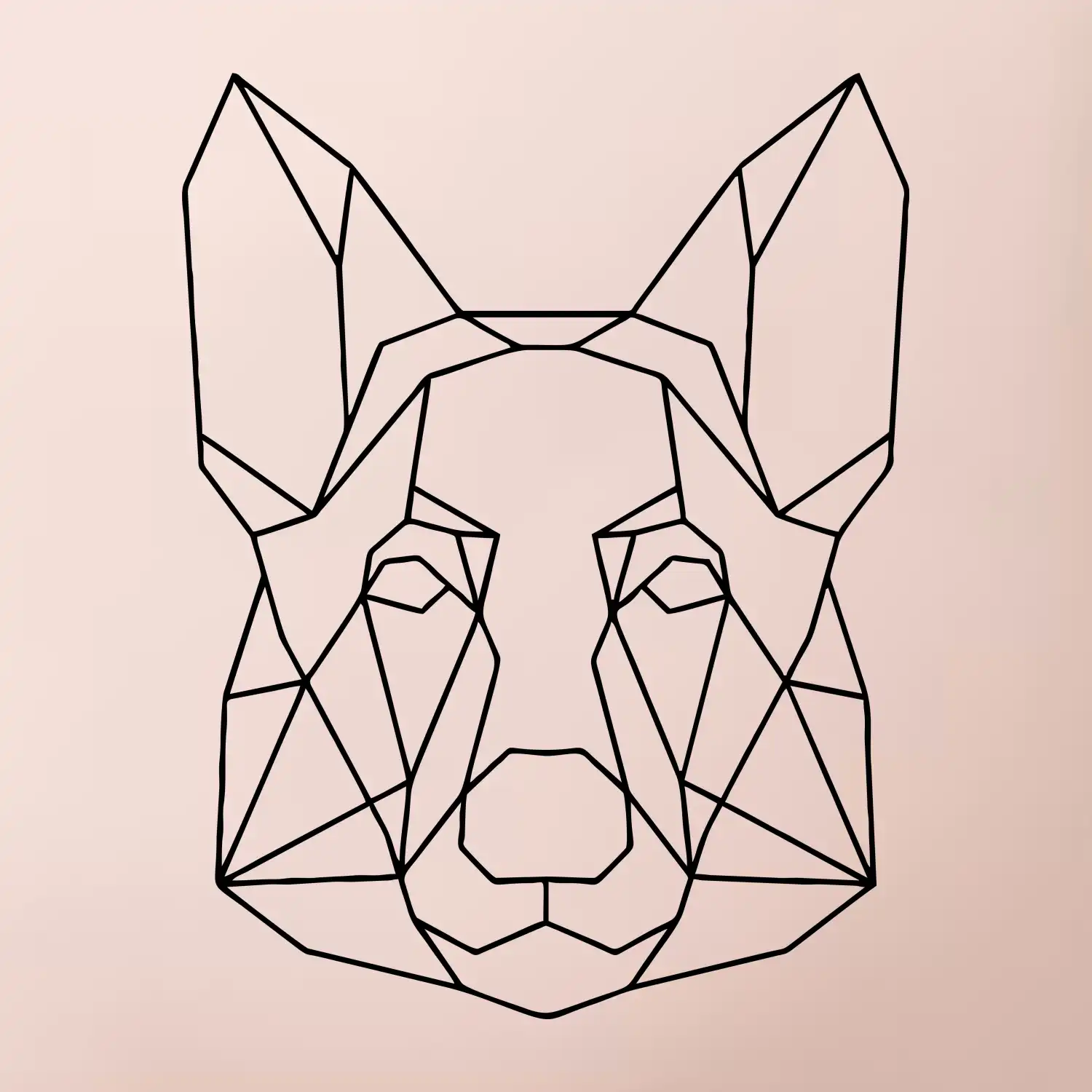 Německý ovčák - Geometrie