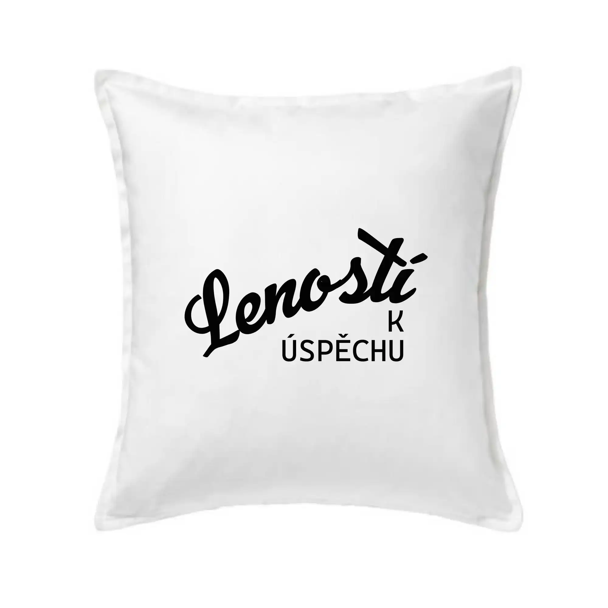Leností k úspěchu - psací