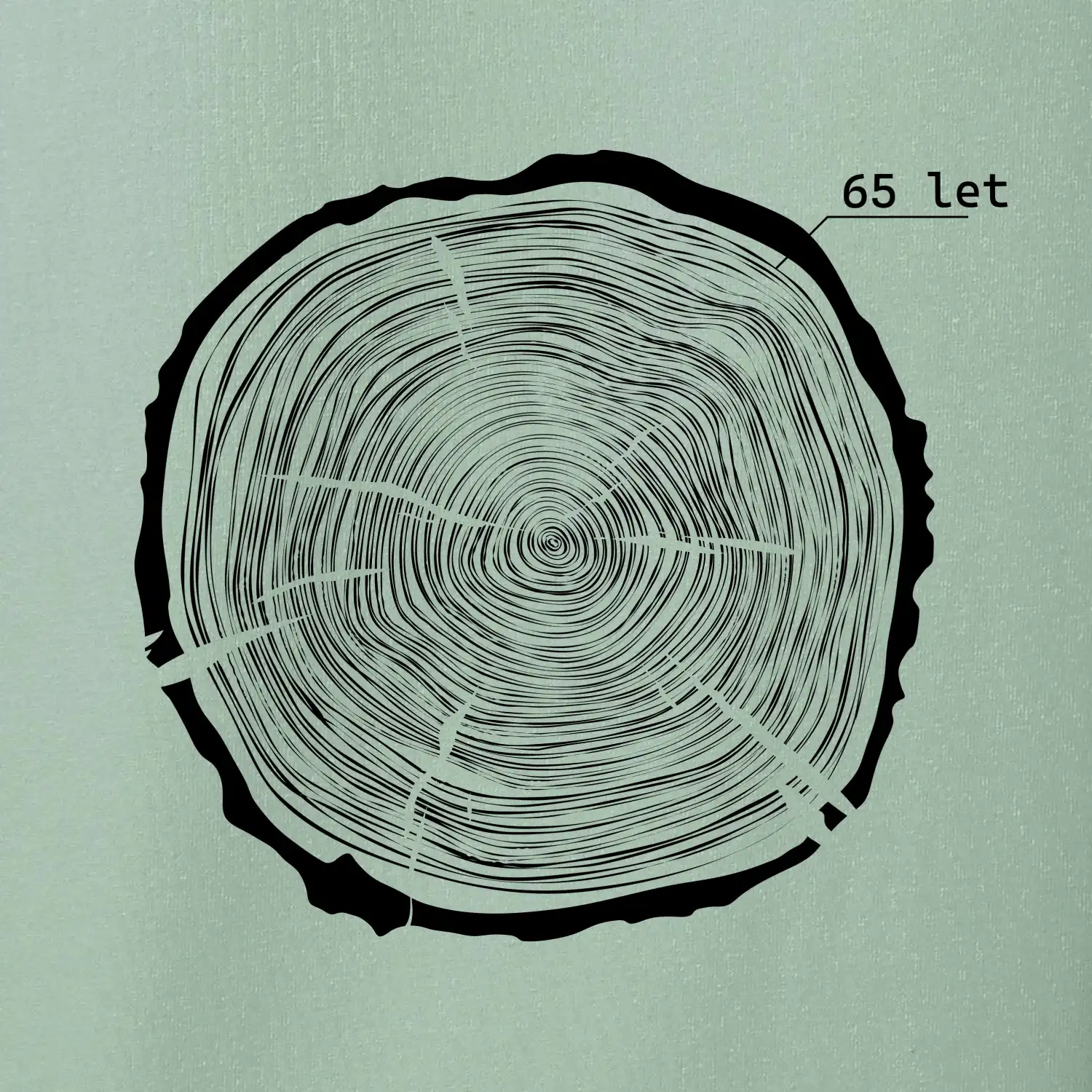Letokruhy - 65