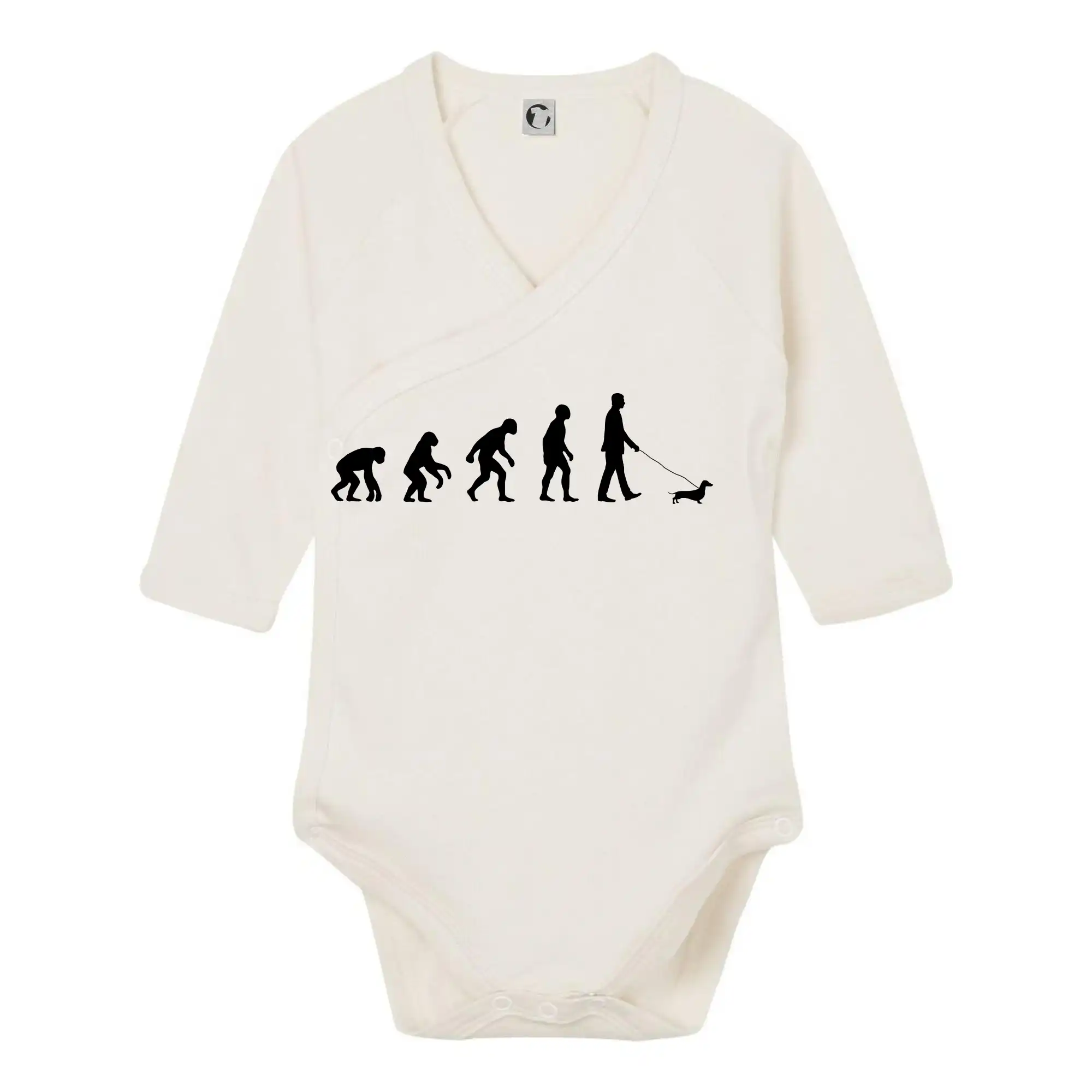 Jezevčík Evoluce muž / žena