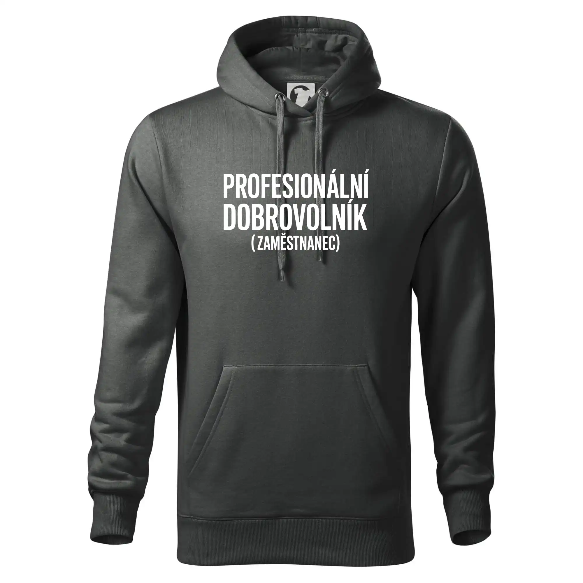 PROFESIONÁLNÍ DOBROVOLNÍK (zaměstnanec)
