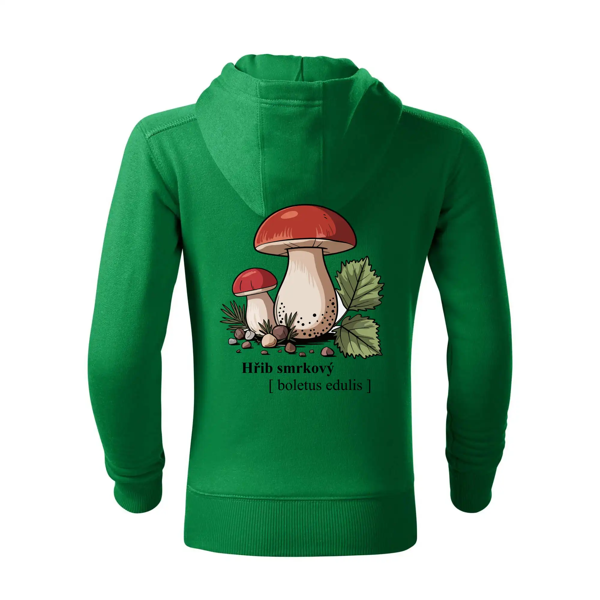 Hřib smrkový - Boletus edulis kreslený