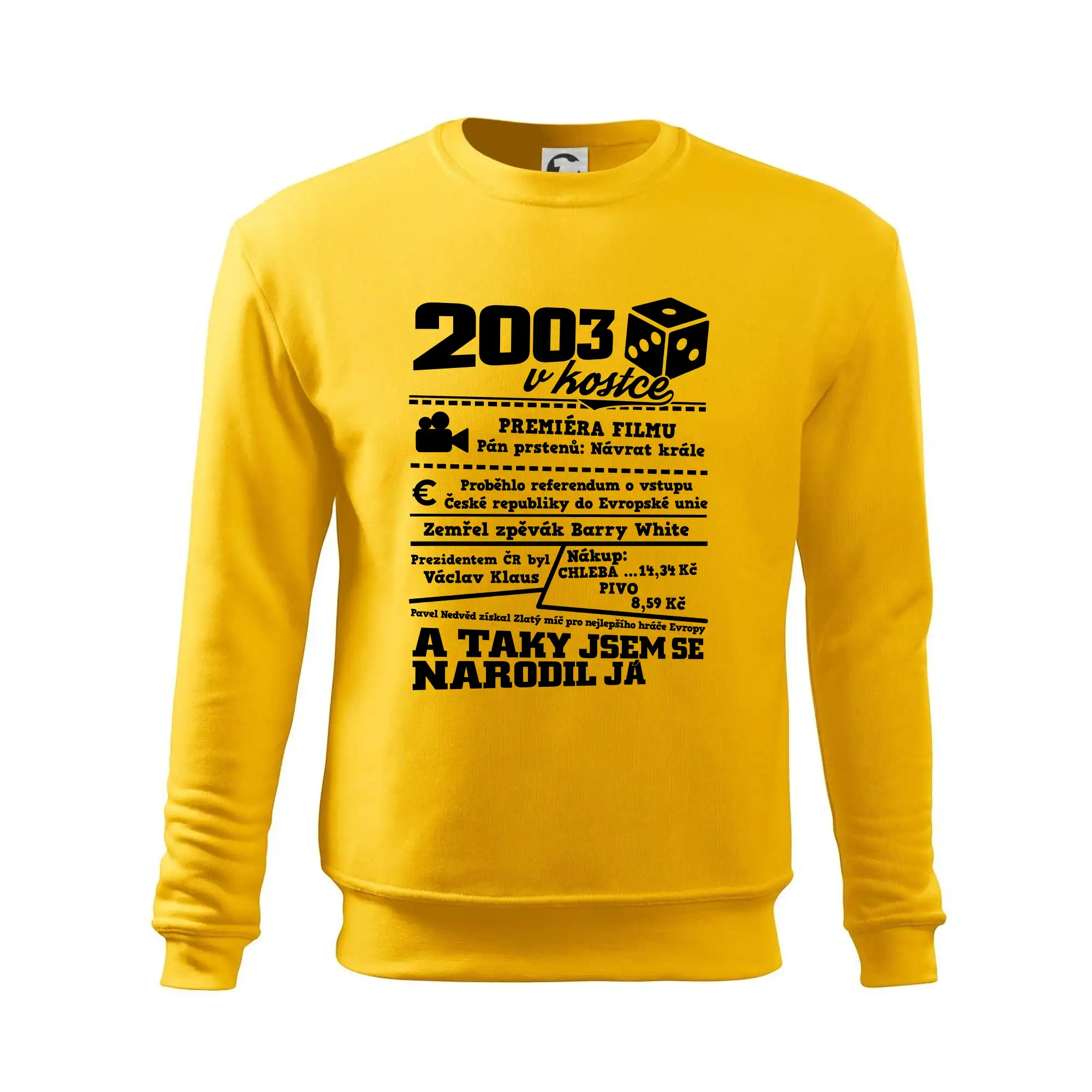 2003 v kostce