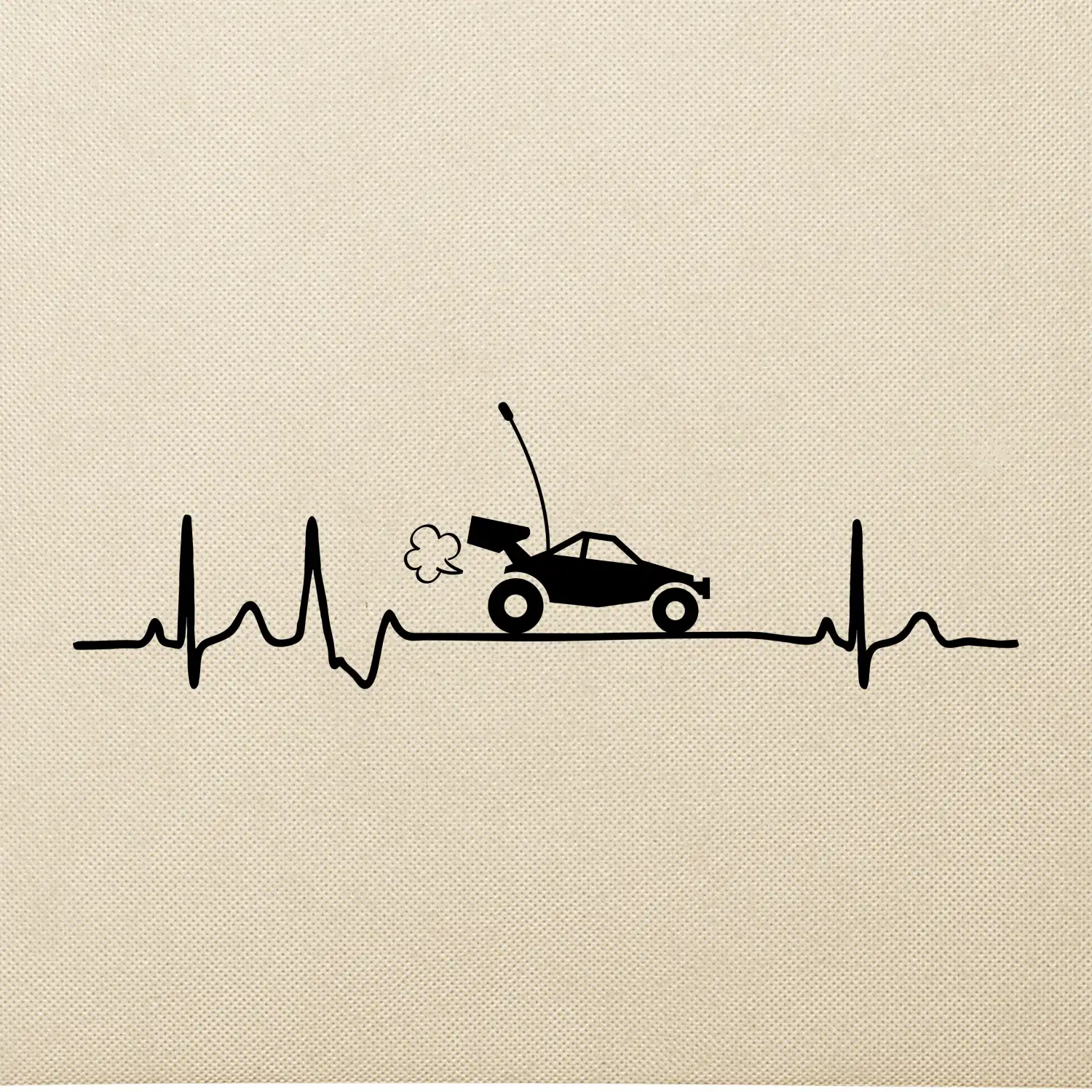 EKG RC model