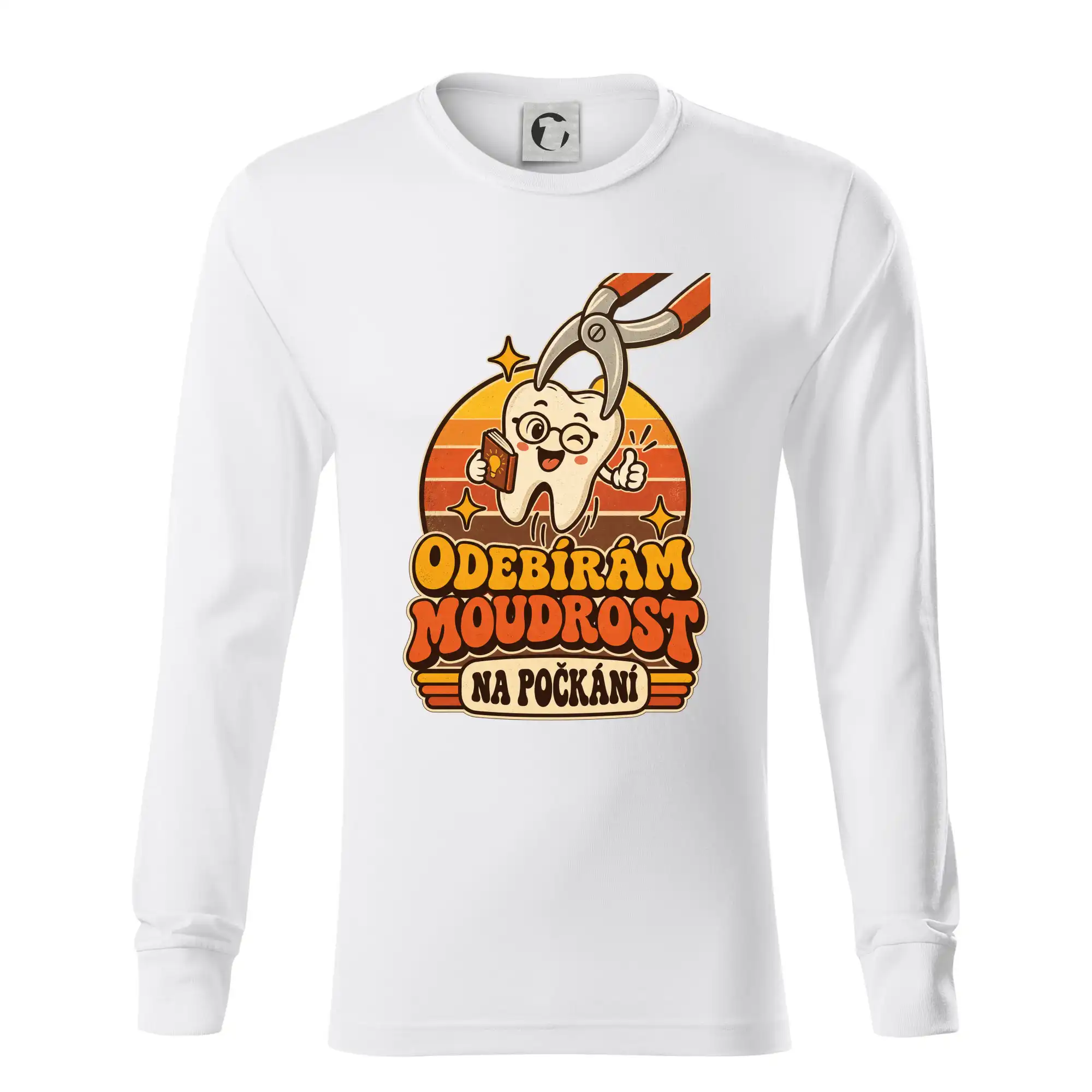 Odebírám moudrost na počkání