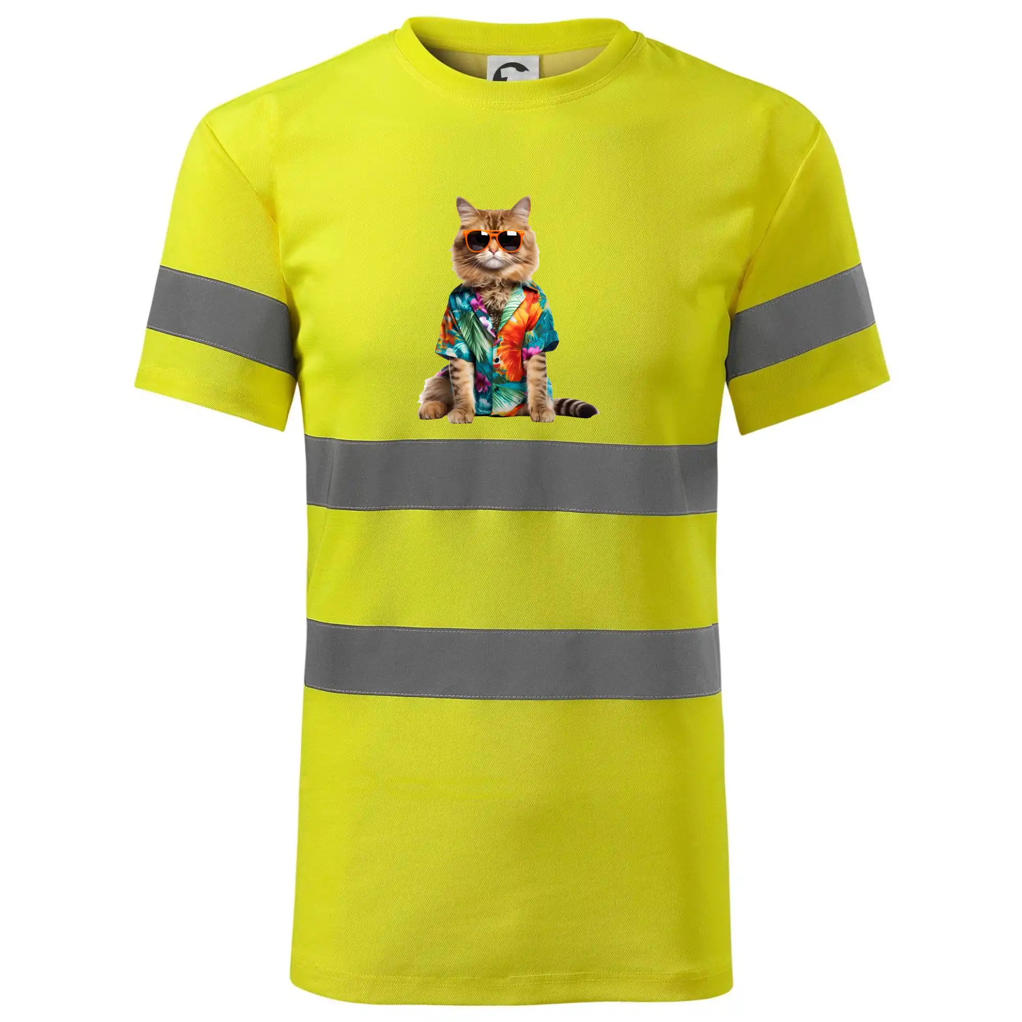 Kočka v létě