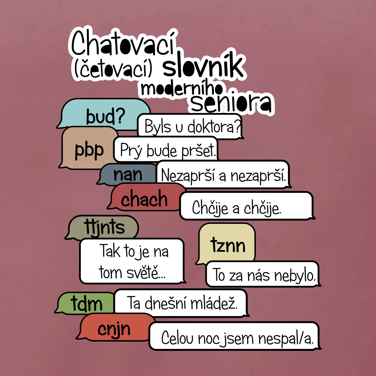 Chatovací slovník moderního seniora (Běžící češtinář)