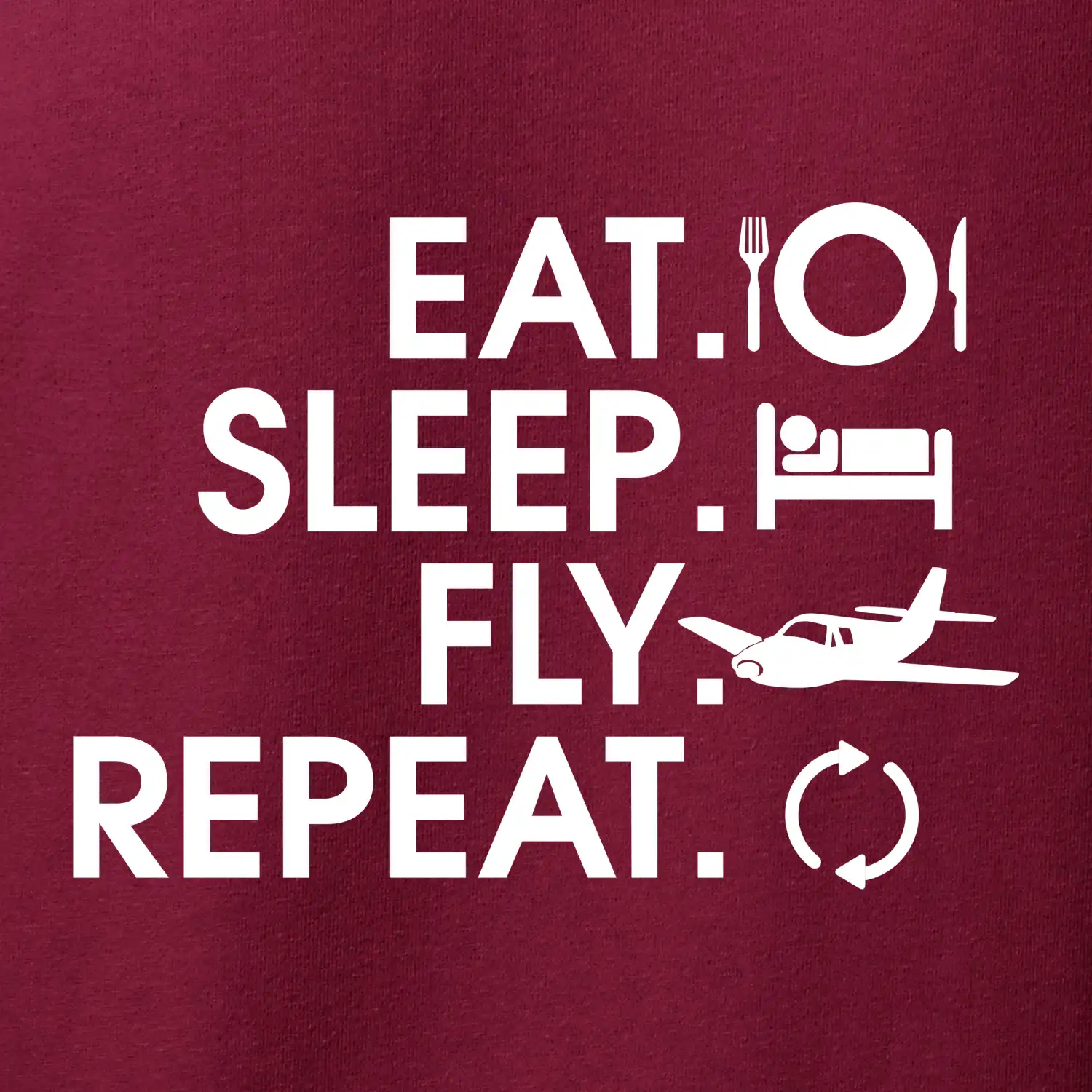 Eat sleep fly repeat