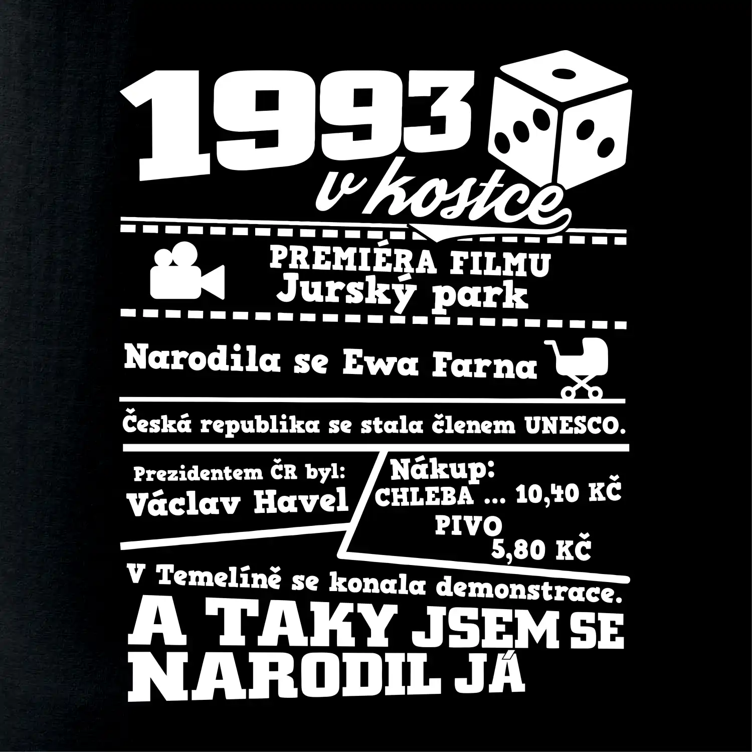 1993 v kostce