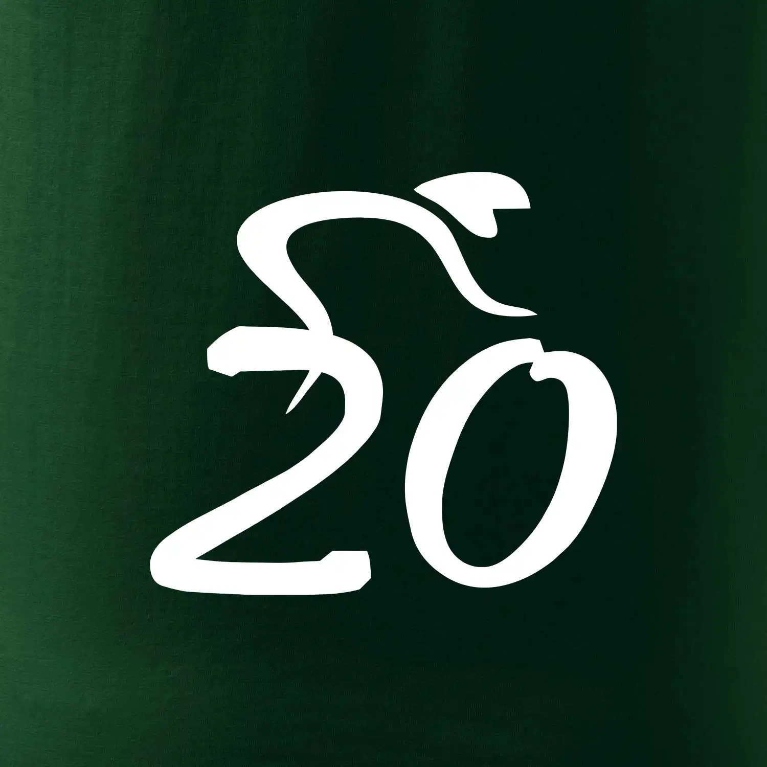 Cyklista slaví dvacítku (20)