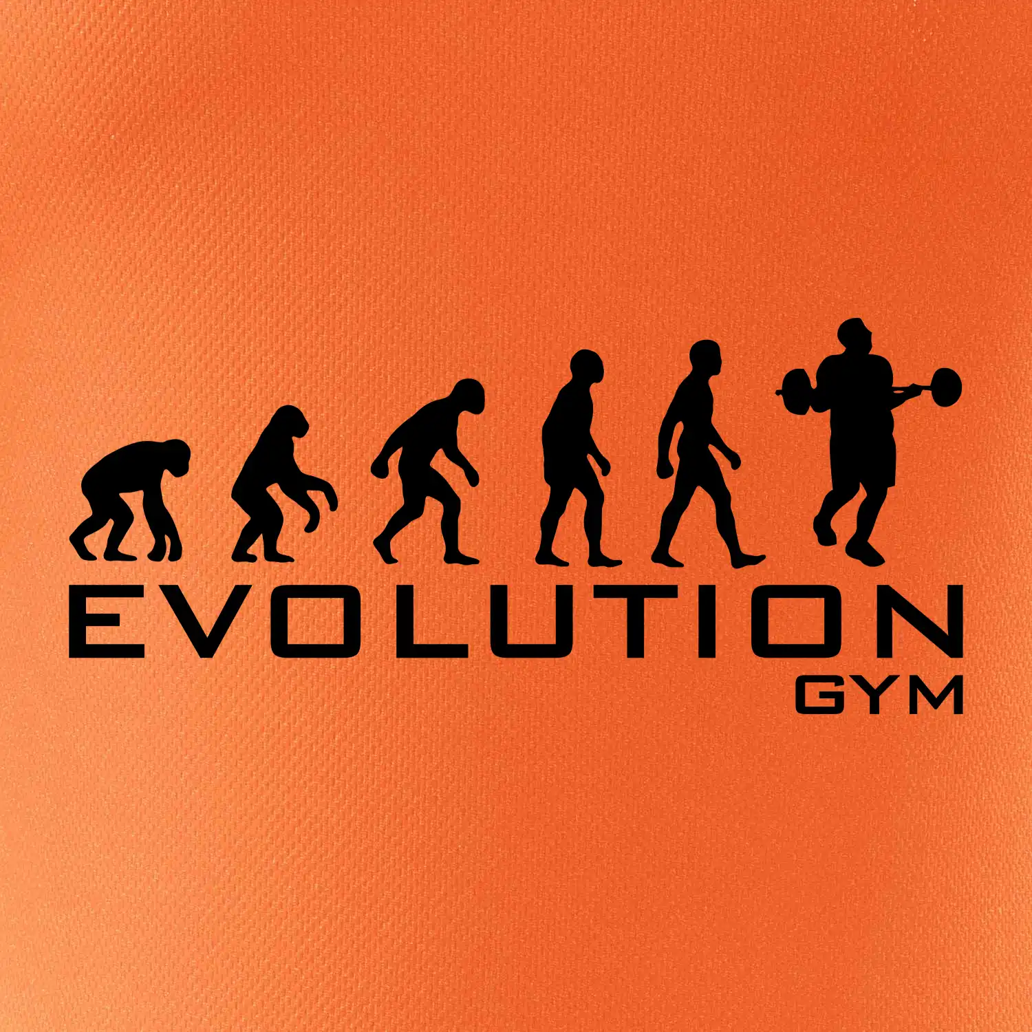 Evoluce Gym
