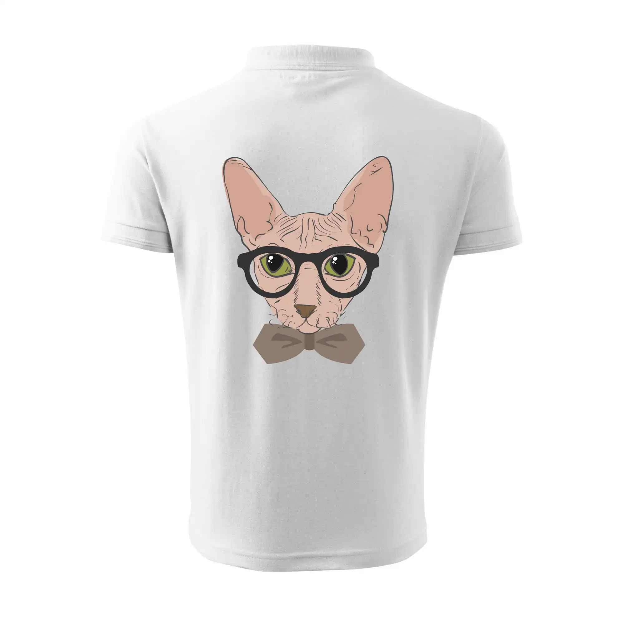 Hipster sphynx