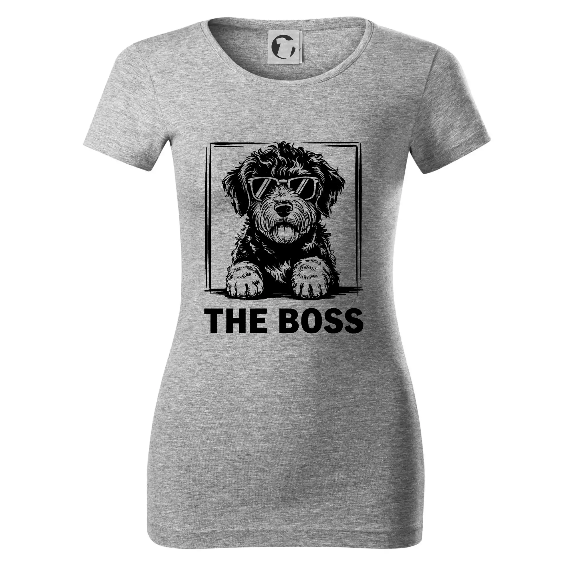 Lagotto romagnolo the boss