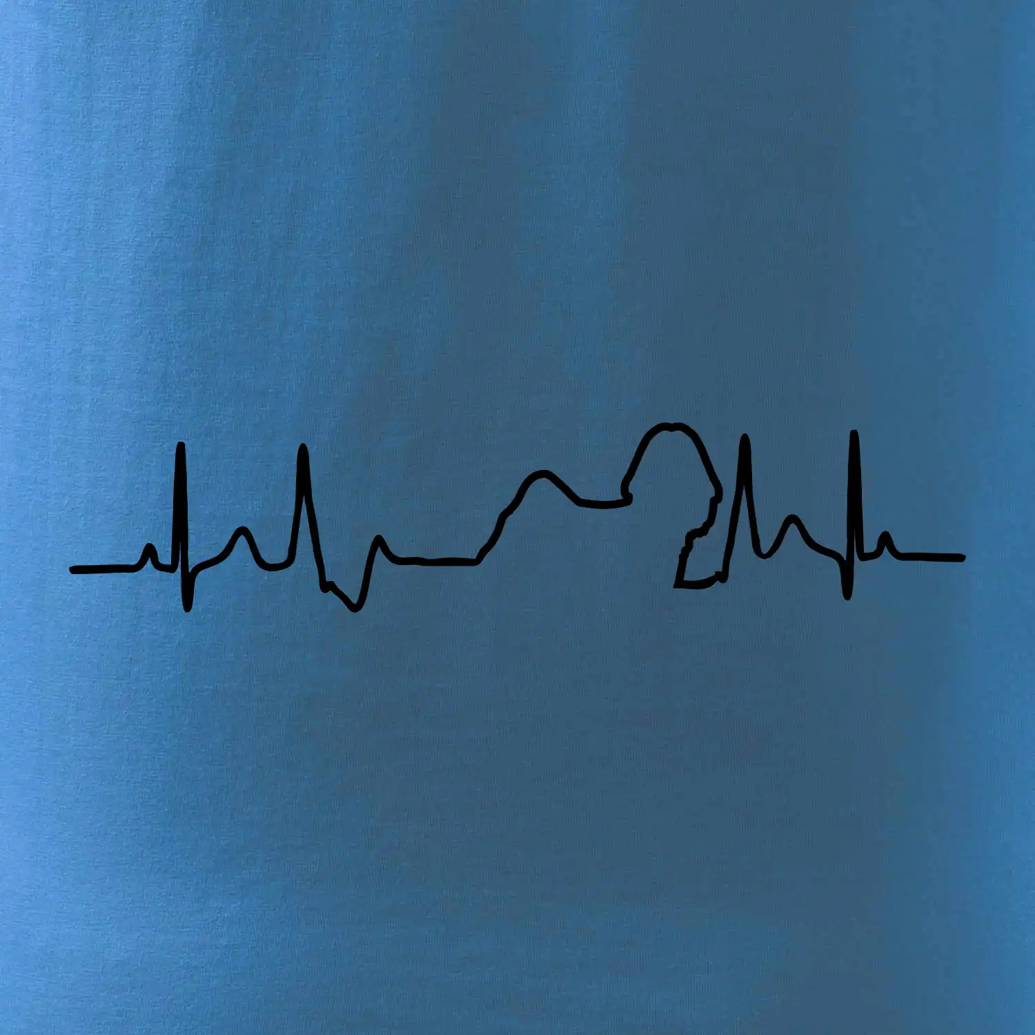 Shih-tzu ekg obrys