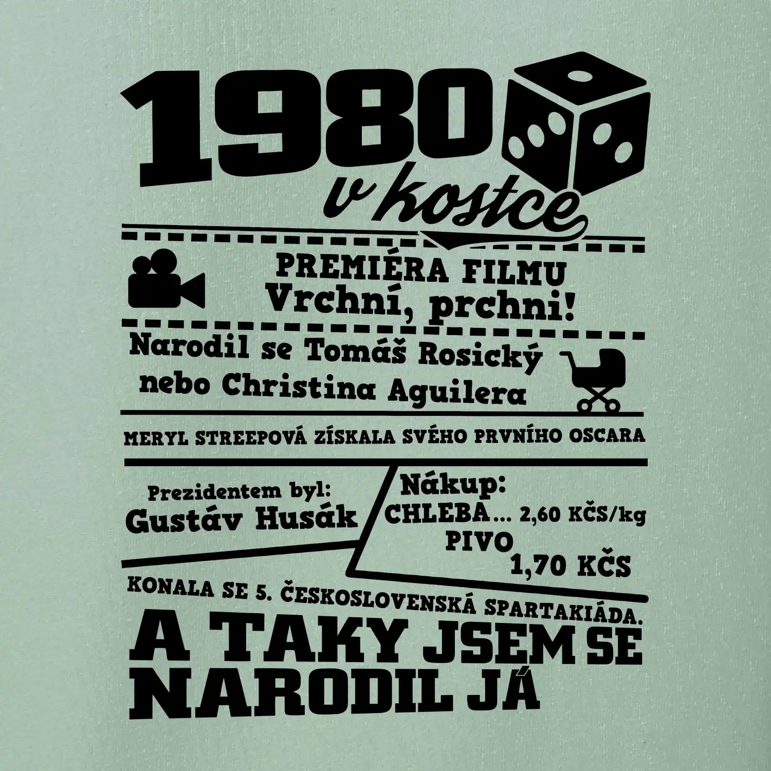 1980 v kostce